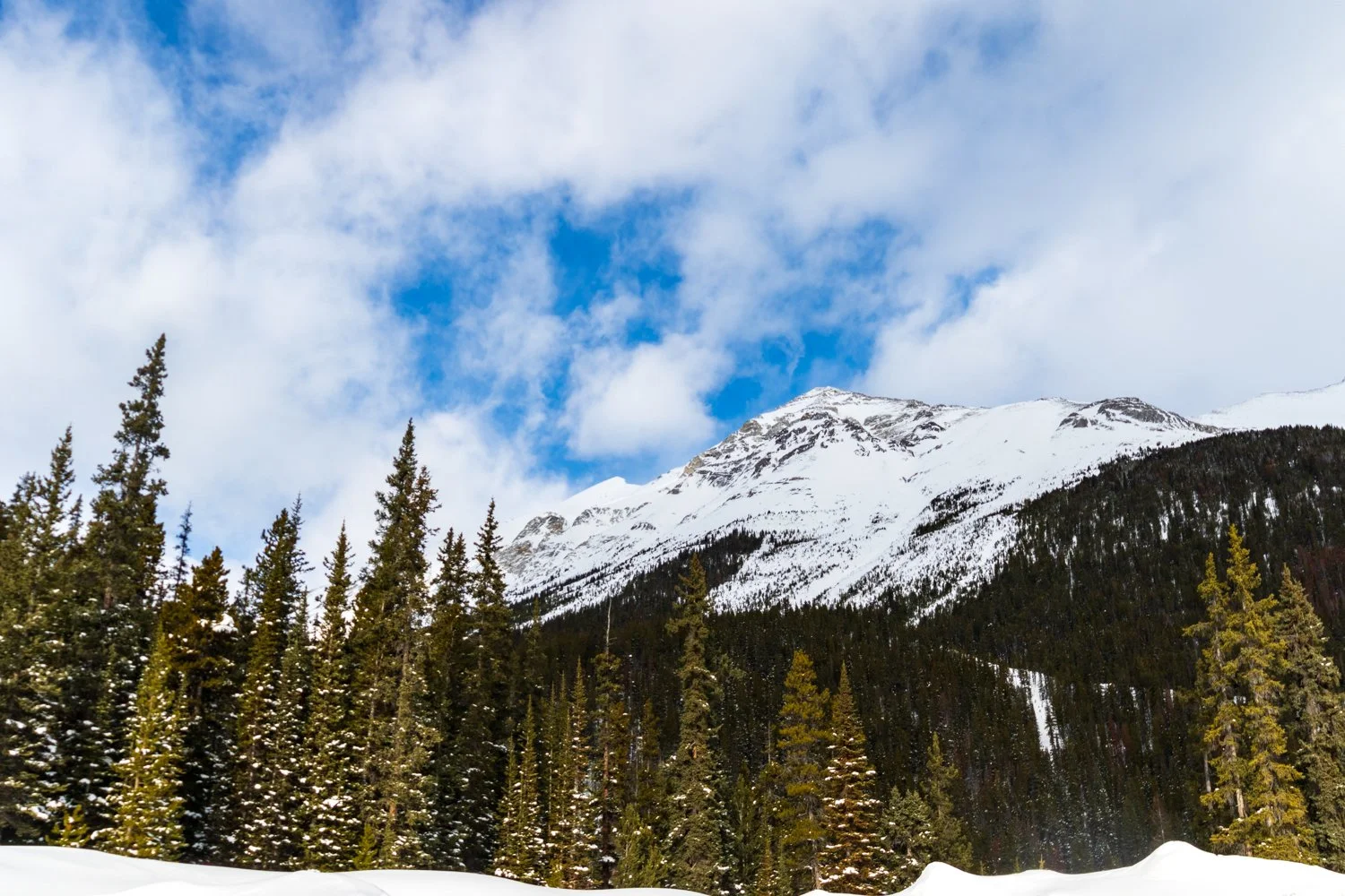 Mountain Views
