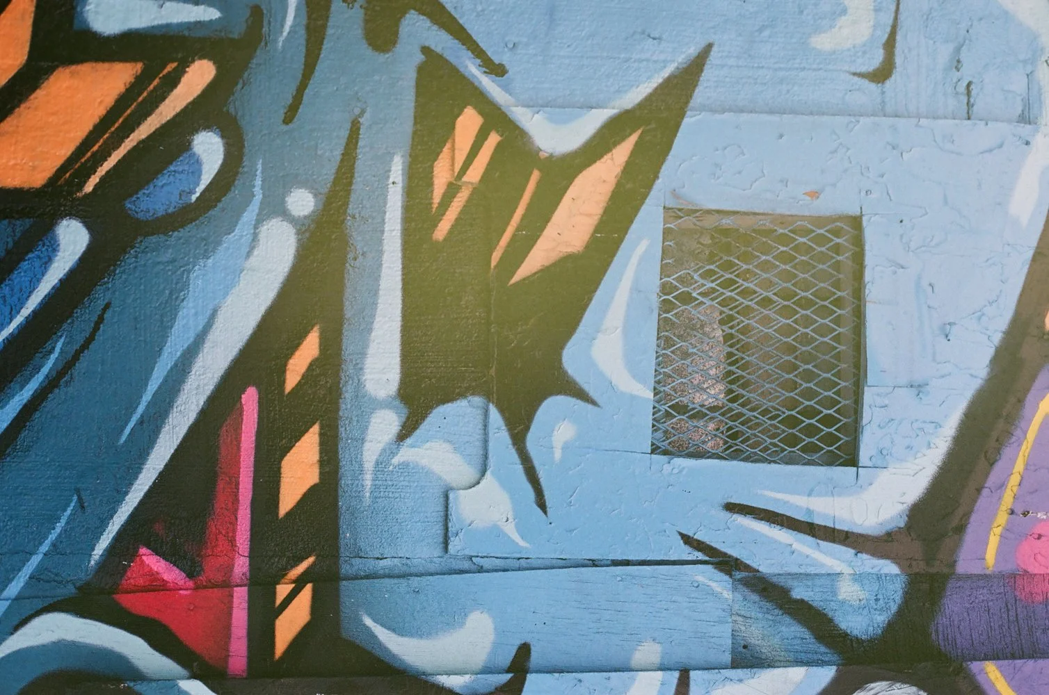 One Month of Film - 36 Exposures