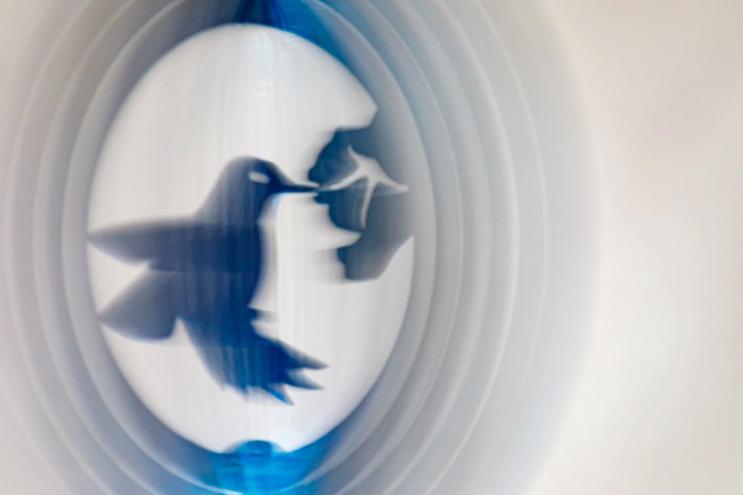 20220309-5DM40706.jpg