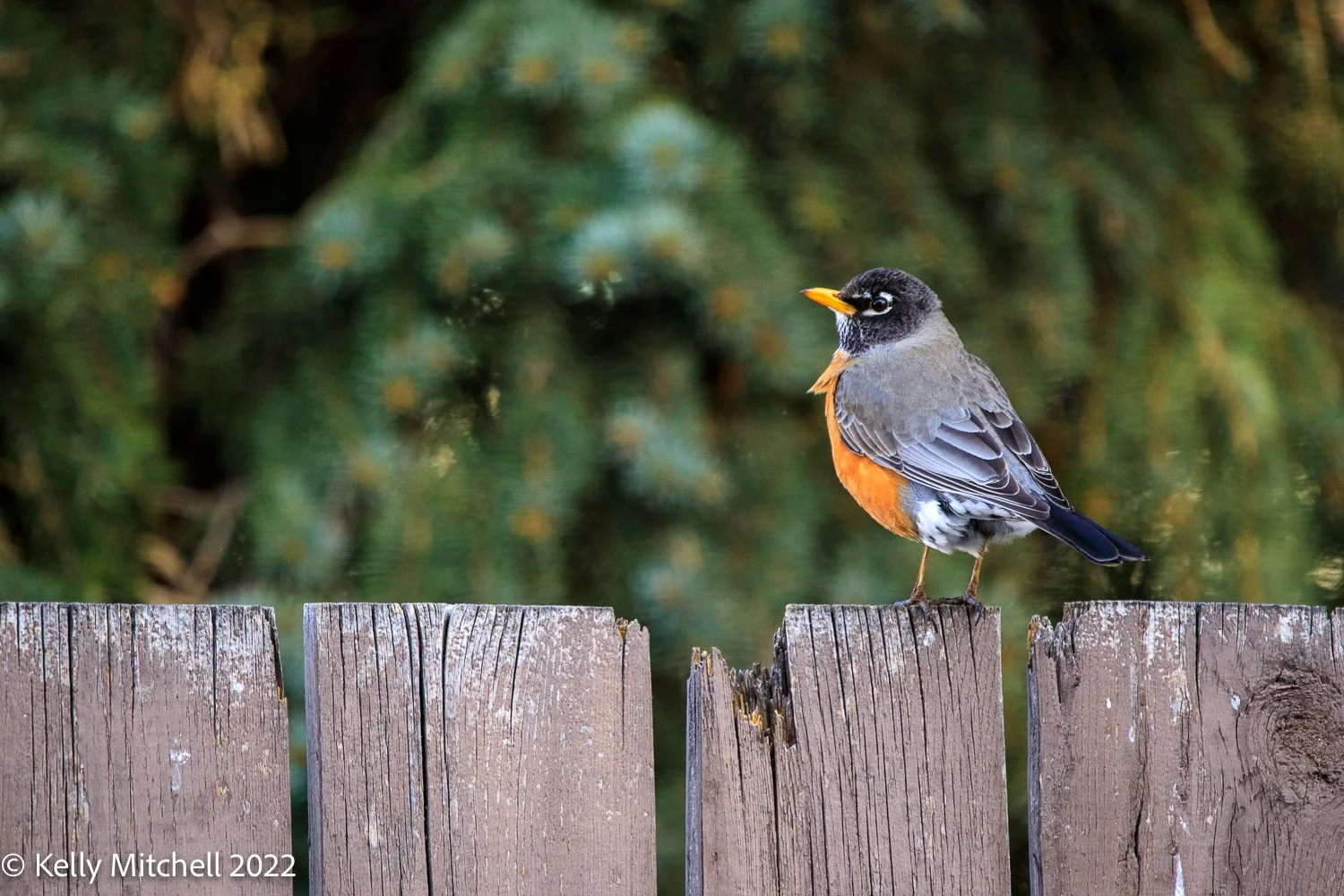 April’s Photo A Day