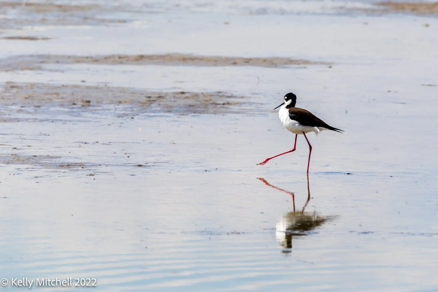 Saturday - April’s Photo a Day