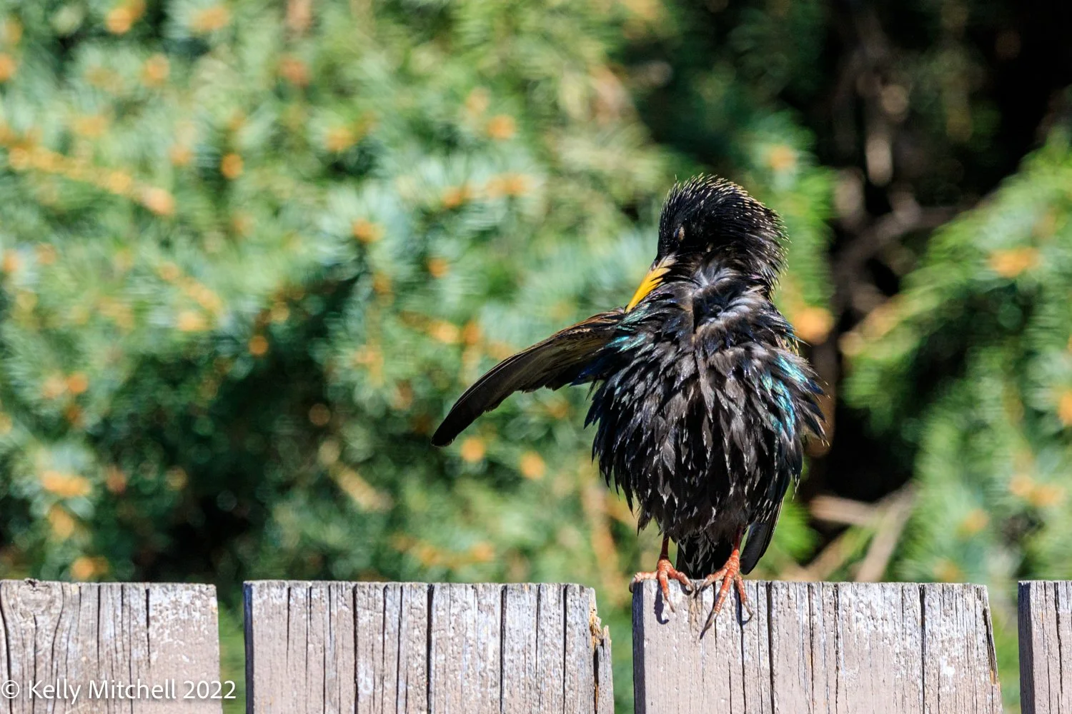 Fav Pic from the Weekend