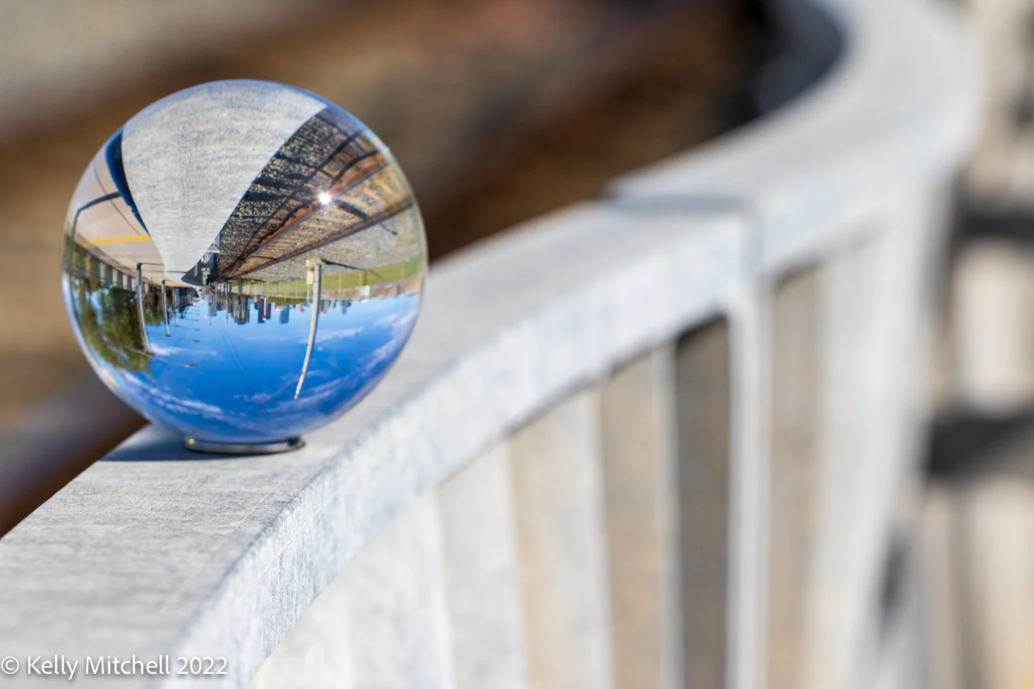 Looking Through the Lens - Ball
