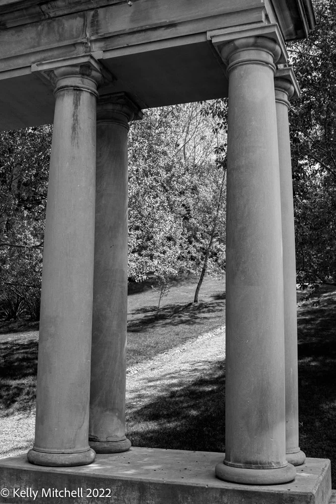 Little Bit of Black &amp; White