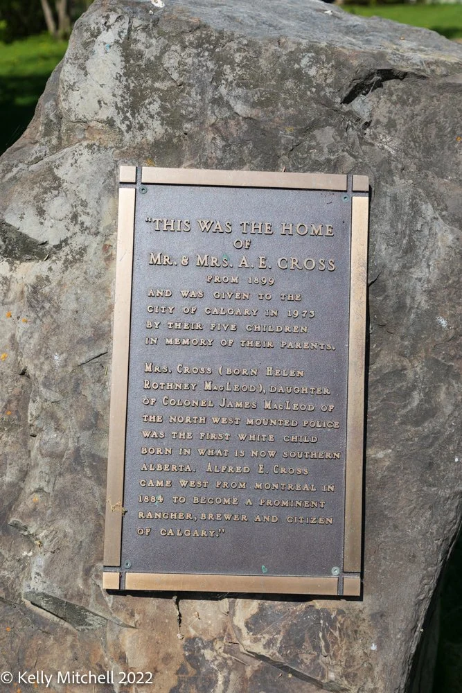 The Cross House