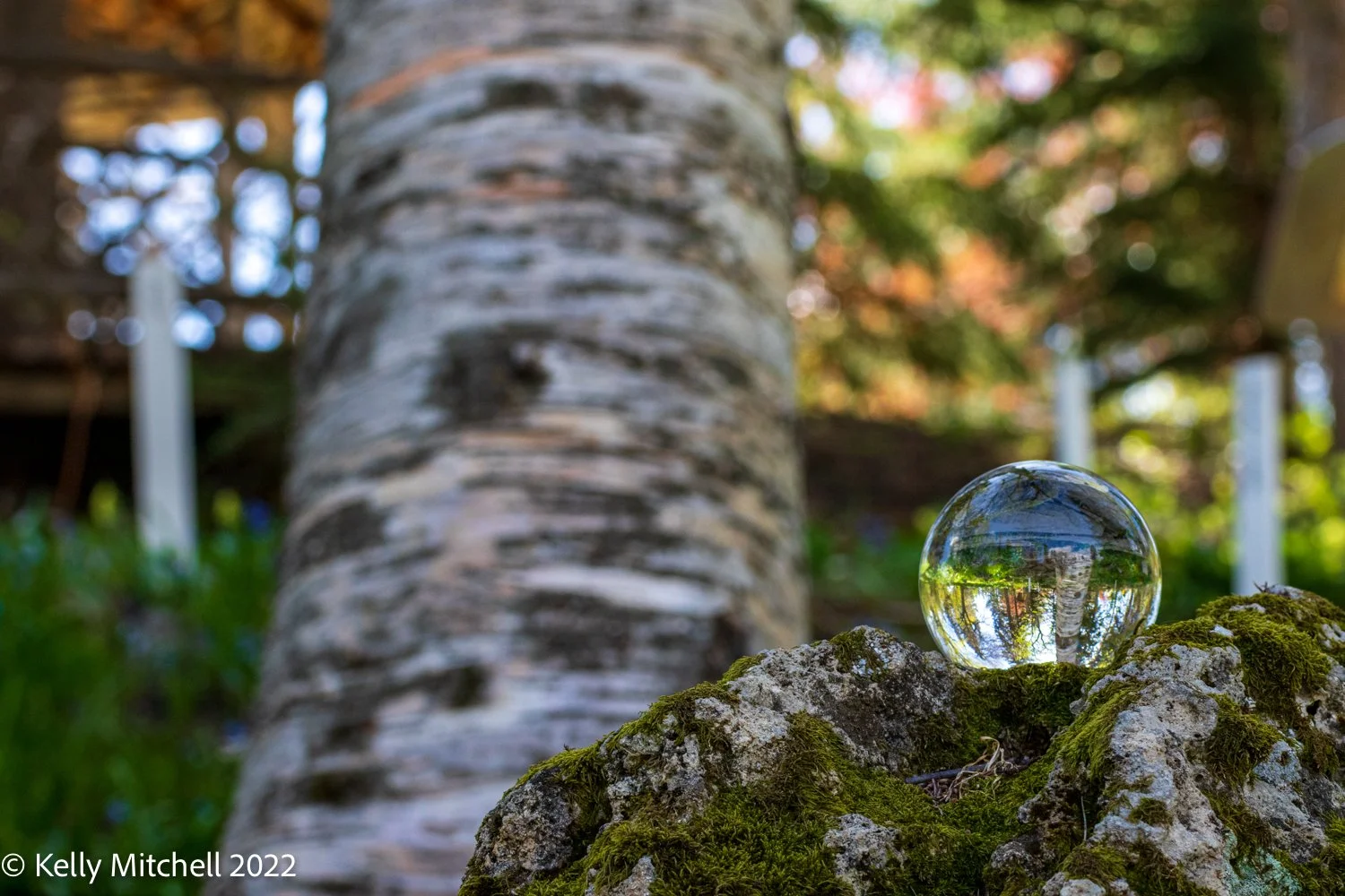 Looking Through the Lens-Ball