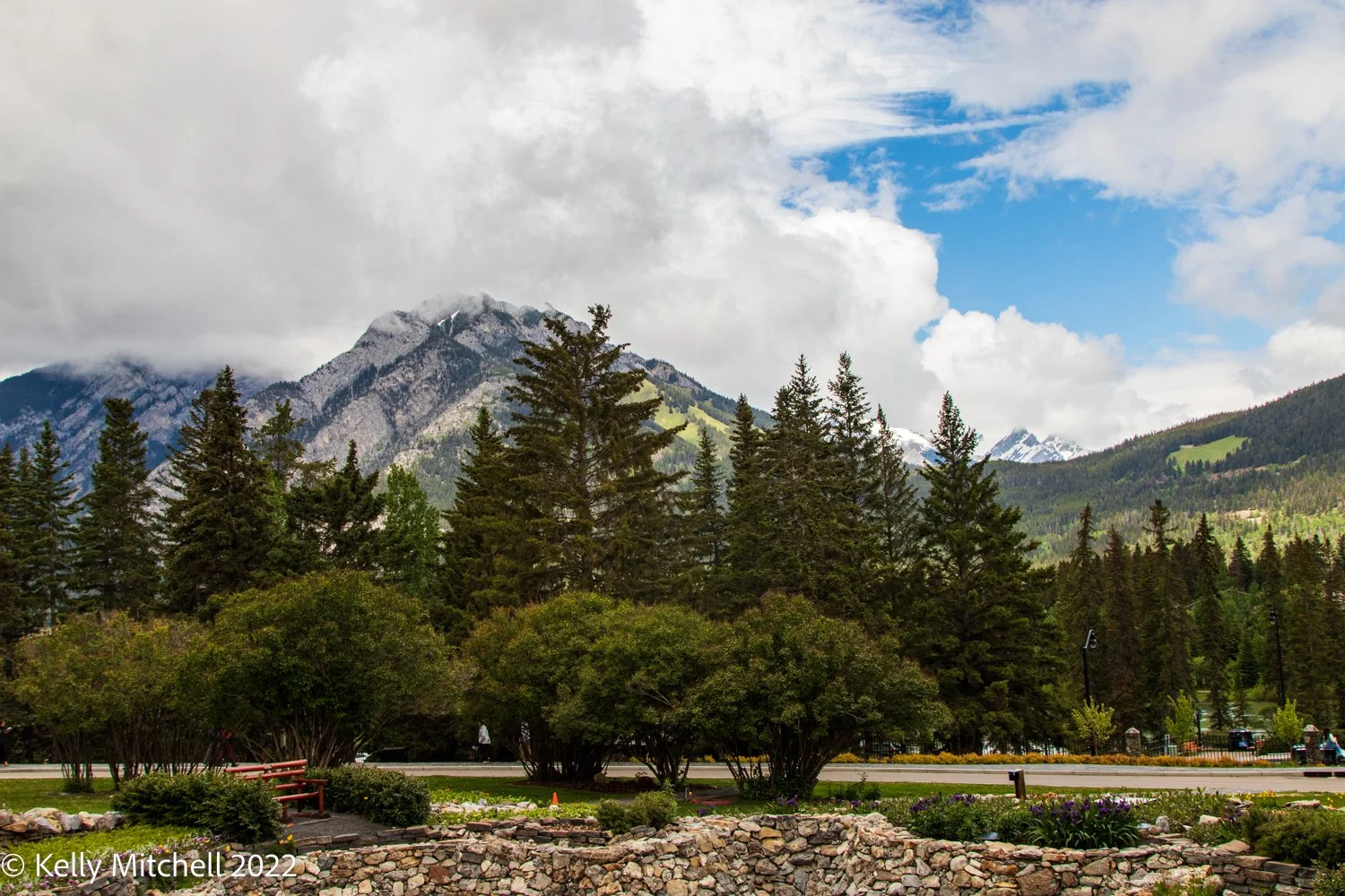 Cascade Gardens 