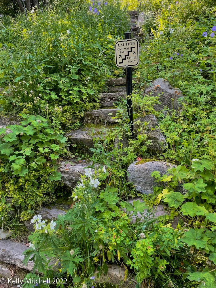 20220722-IMG_2675.jpg