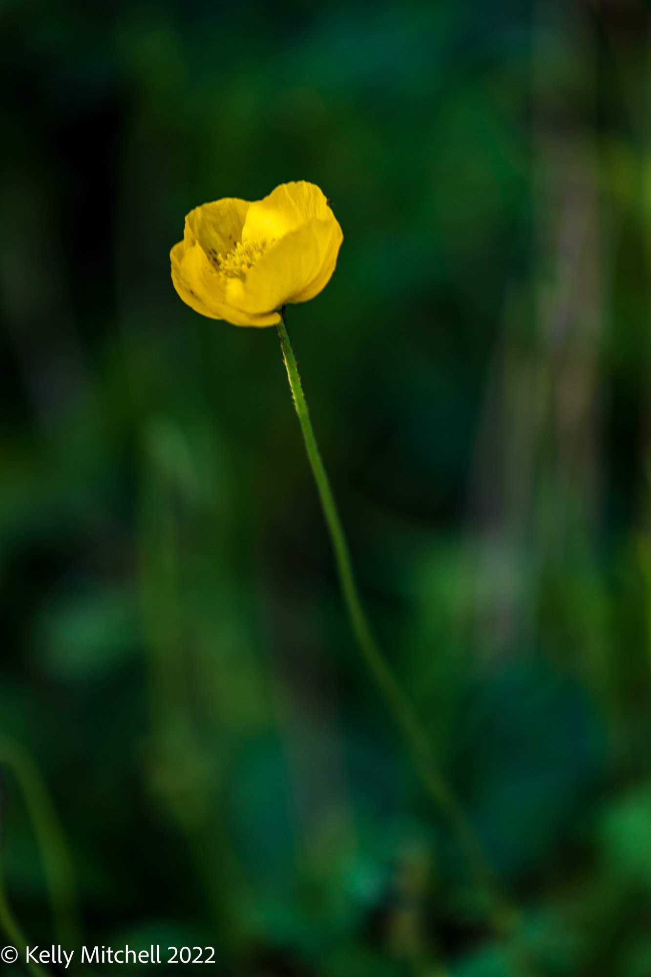 RRG-Canon EOS 5D Mark IV-2022-00023-28-1.jpg