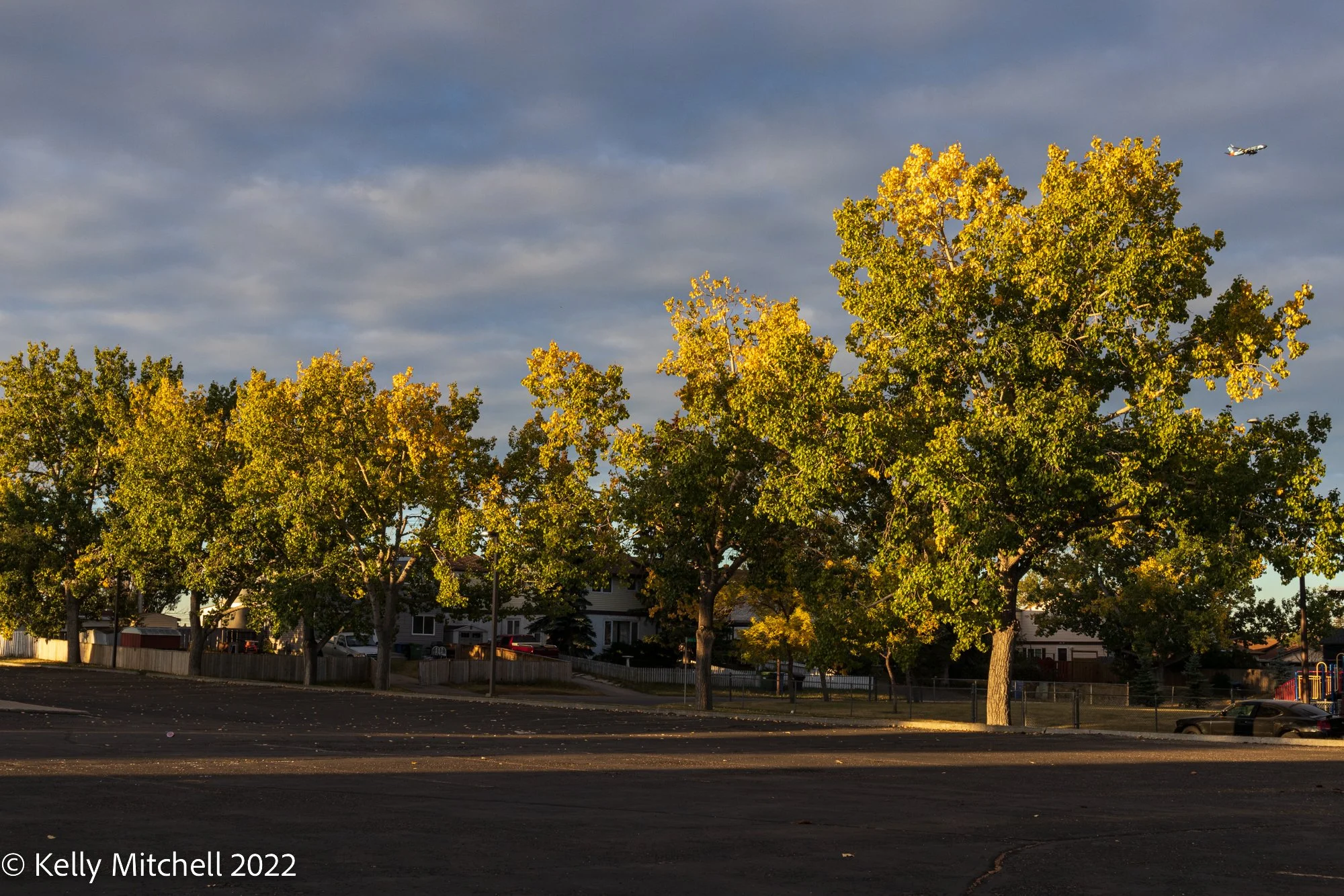 20220925-_MG_0748.jpg