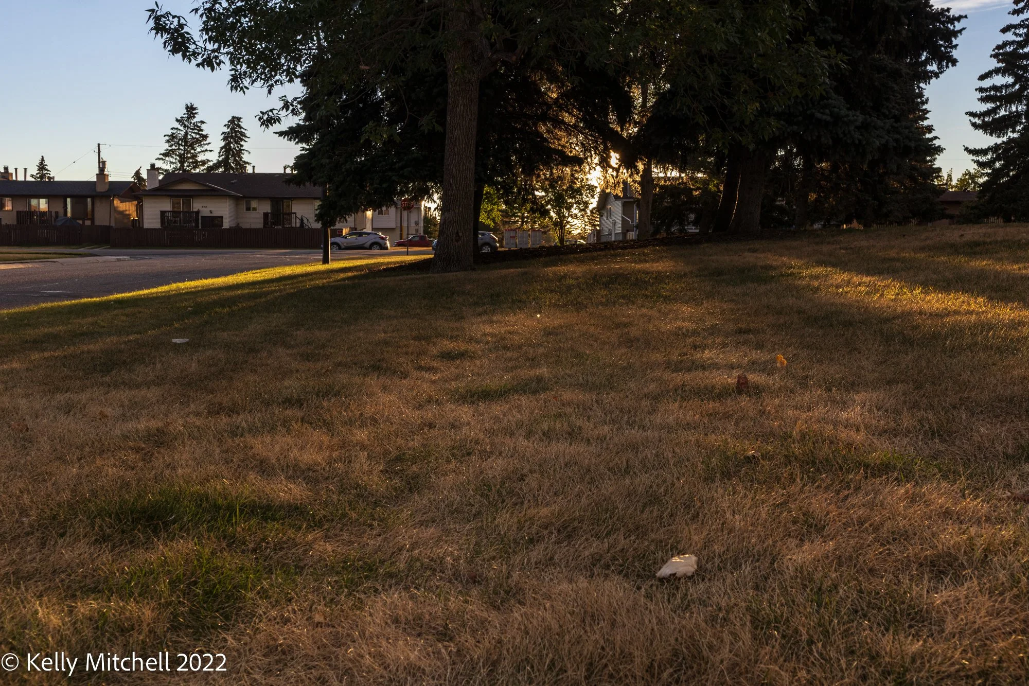 20220925-_MG_0744.jpg