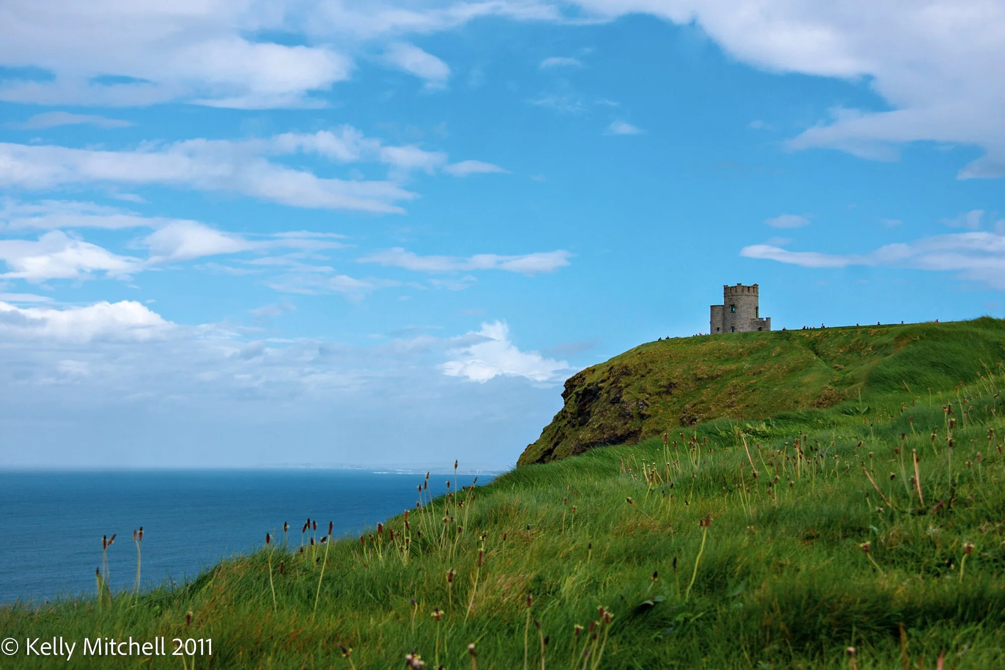 Week 4 - Monthly Challenge