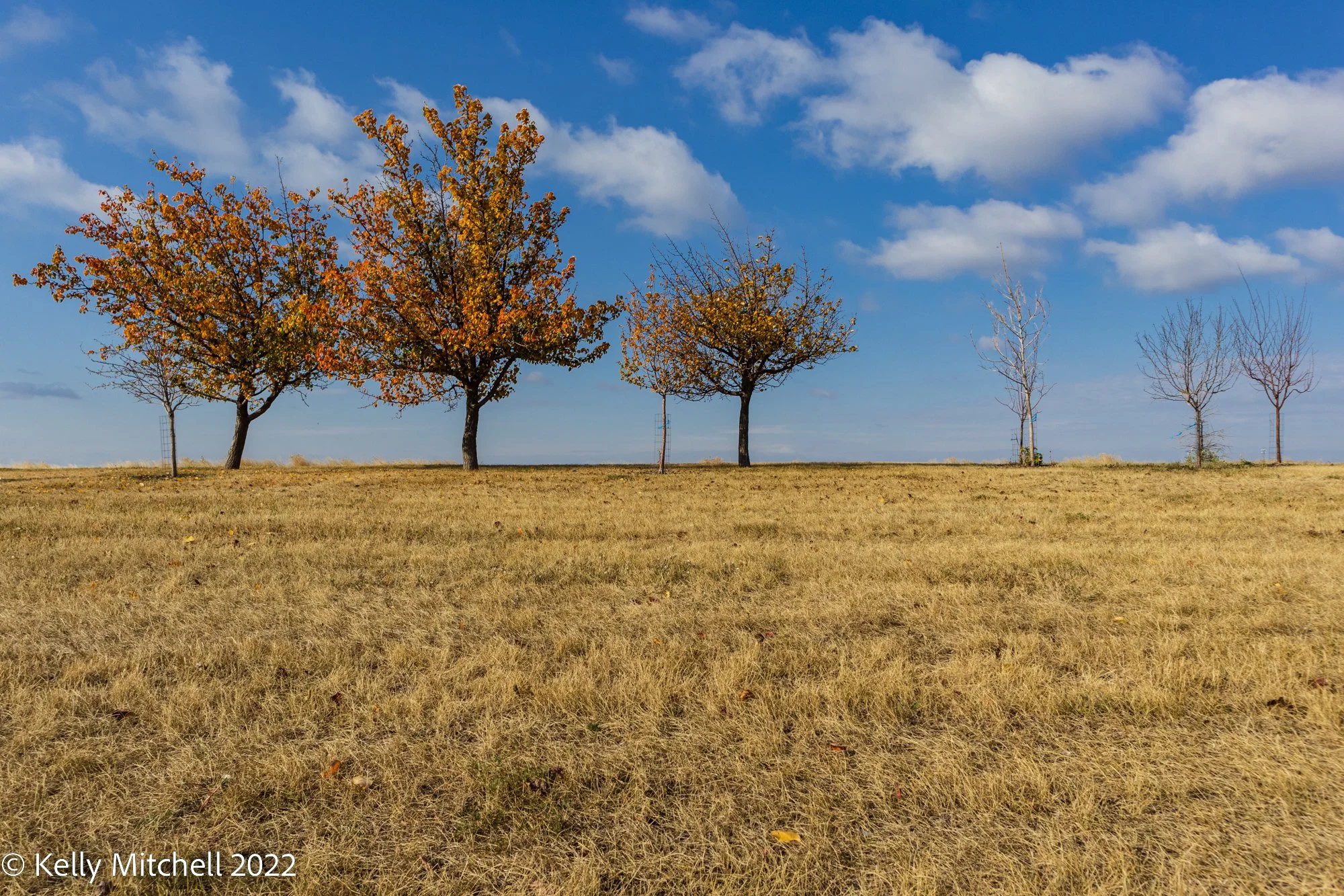 This Week’s Challenge