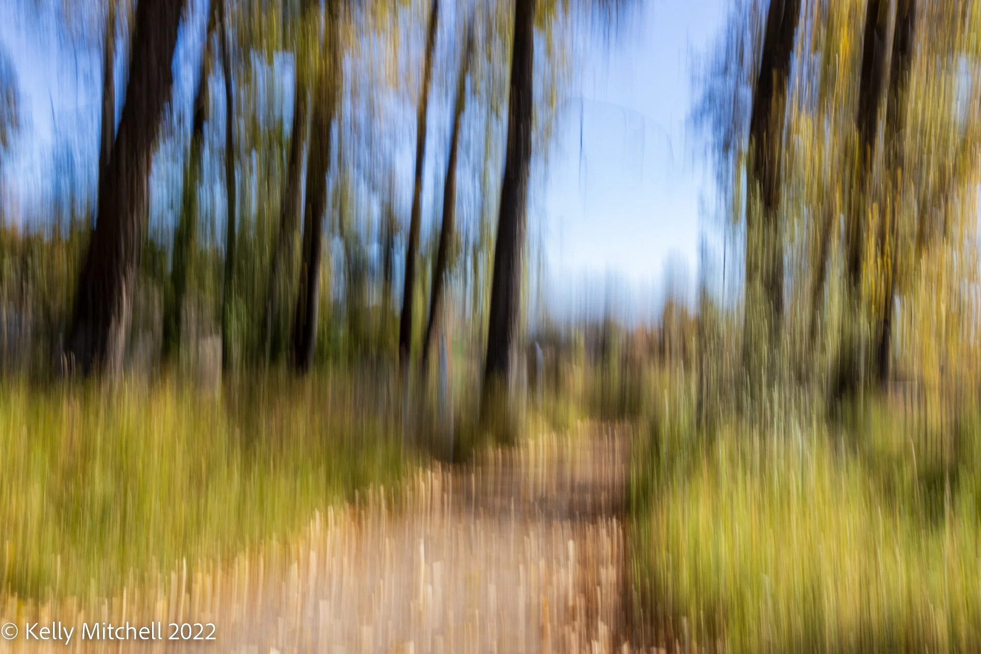ICM Autumn