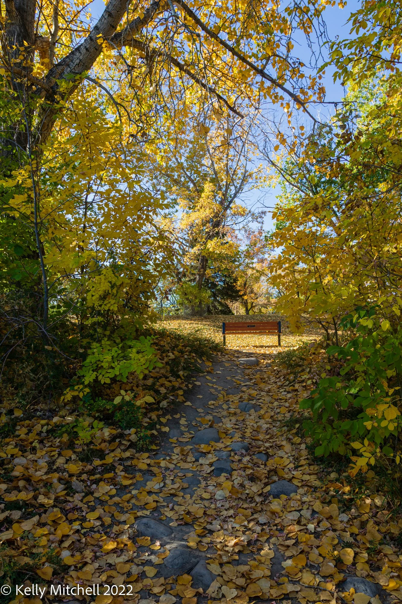 20221003-5DM42594.jpg