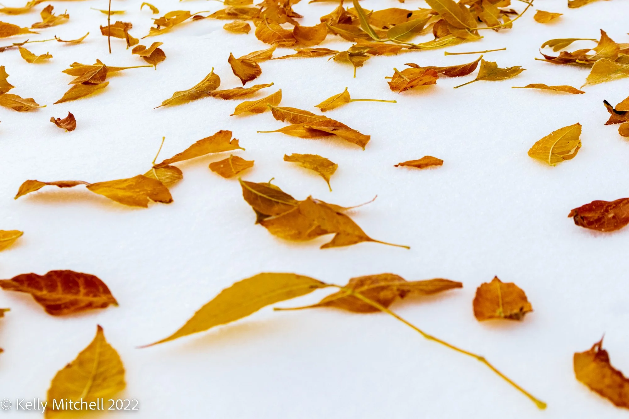 20221024-_MG_1295.jpg