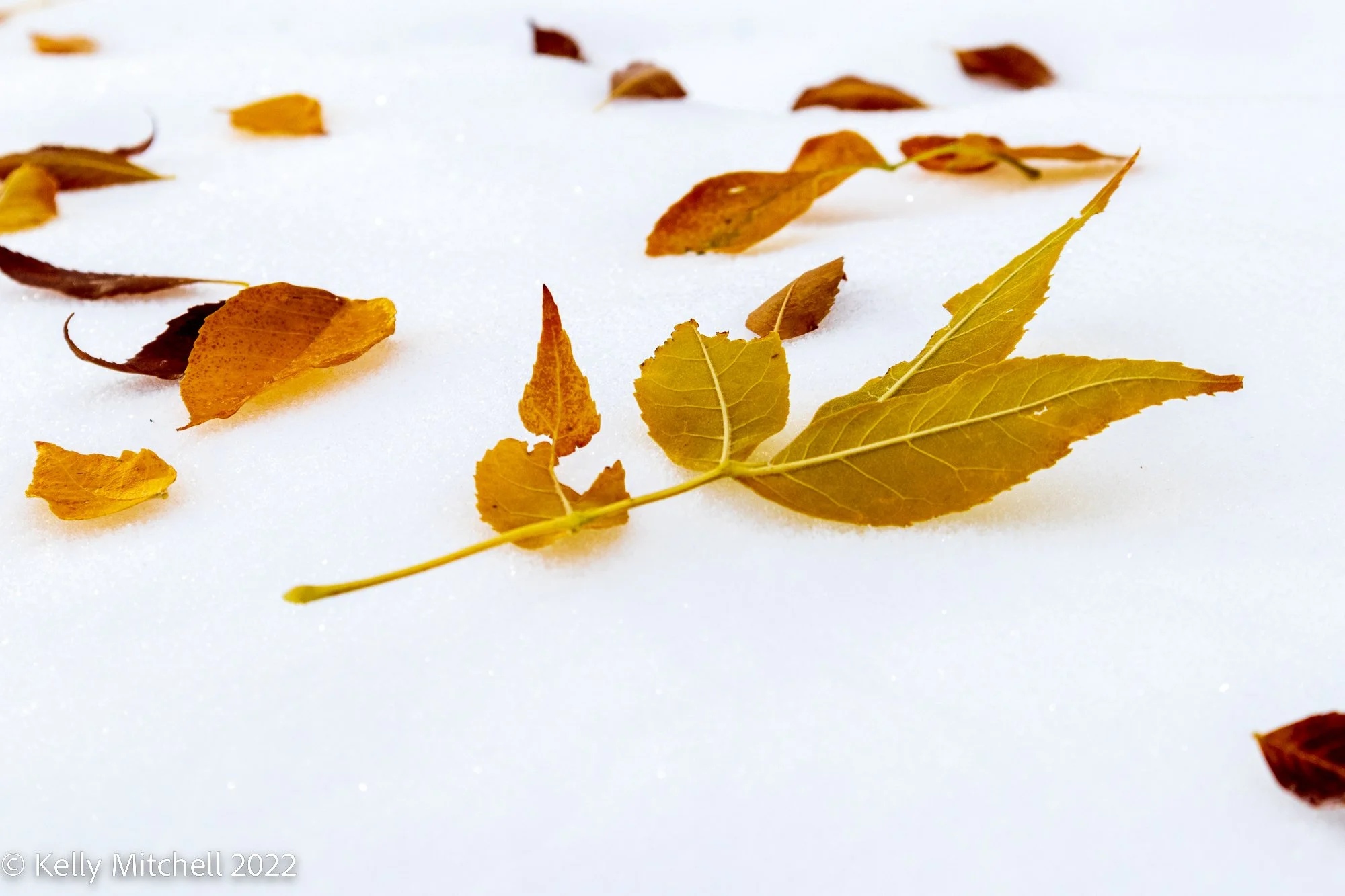 20221024-_MG_1301.jpg