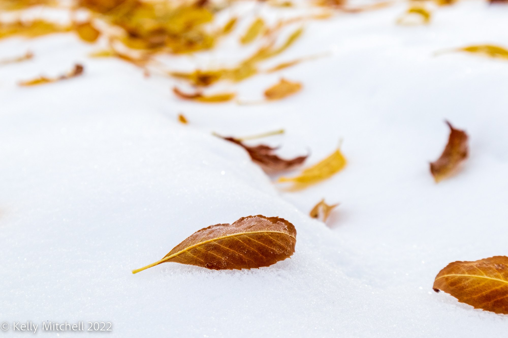 20221024-_MG_1305.jpg