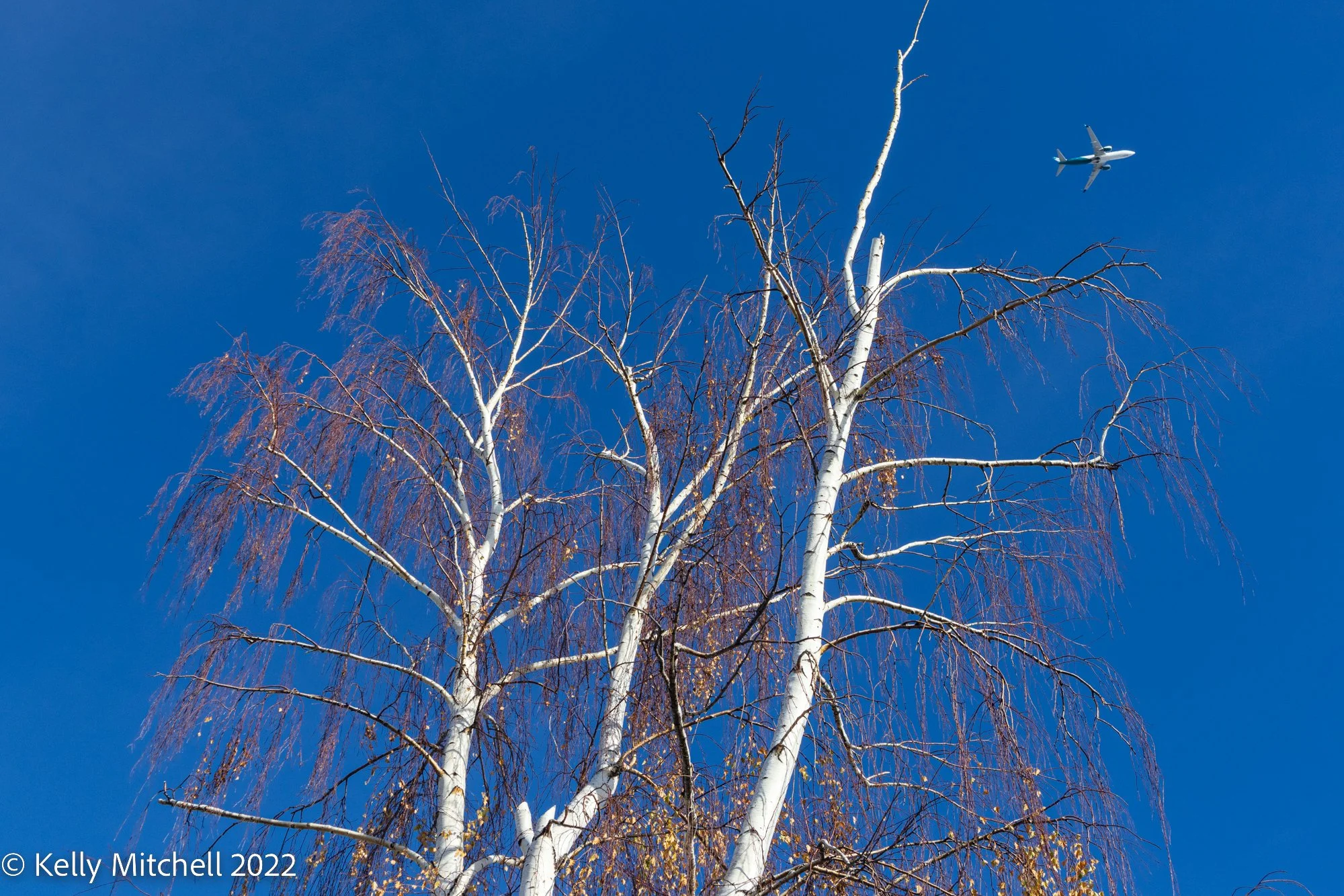 20221026-_MG_1333.jpg