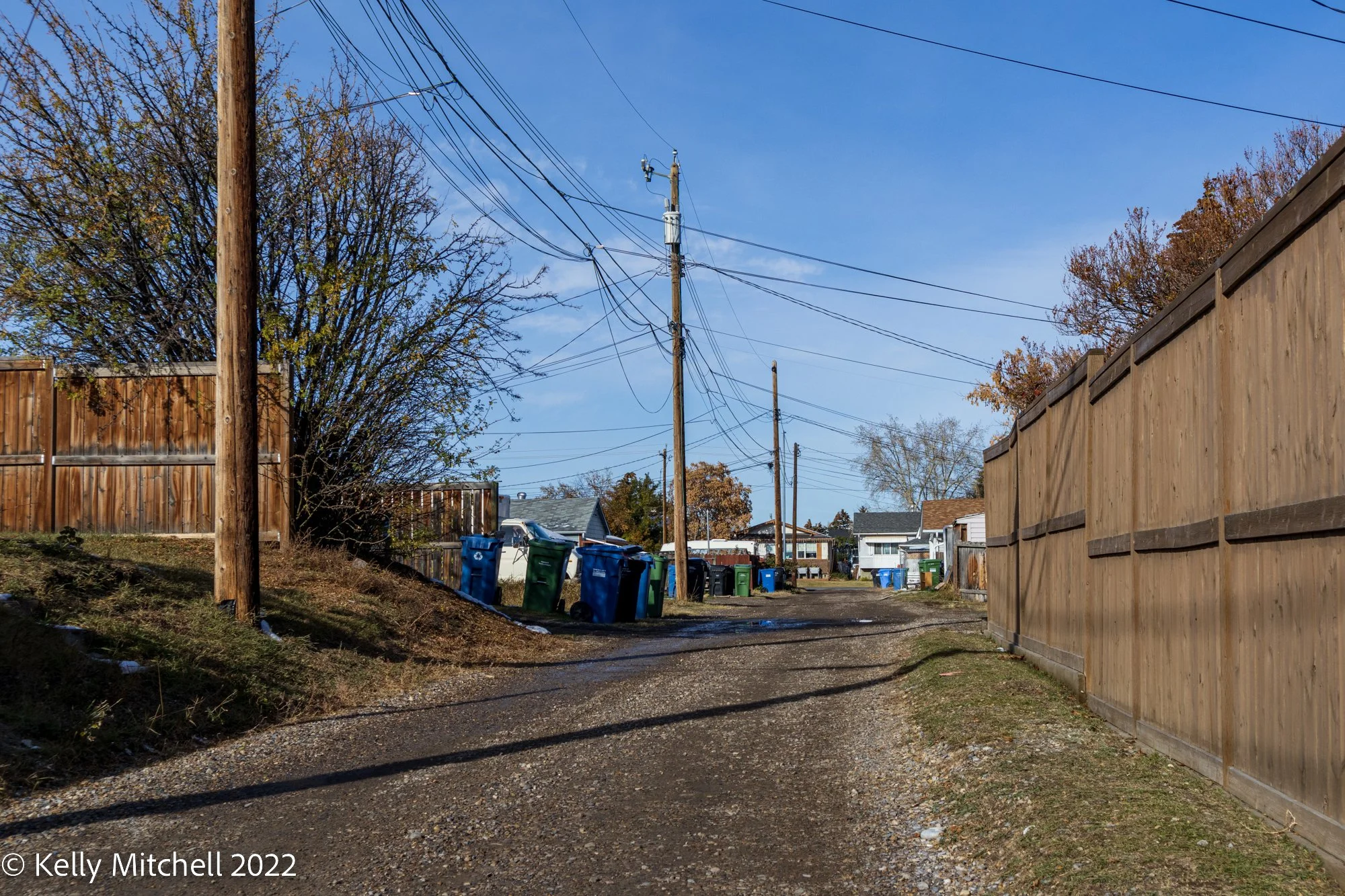 20221026-_MG_1349.jpg