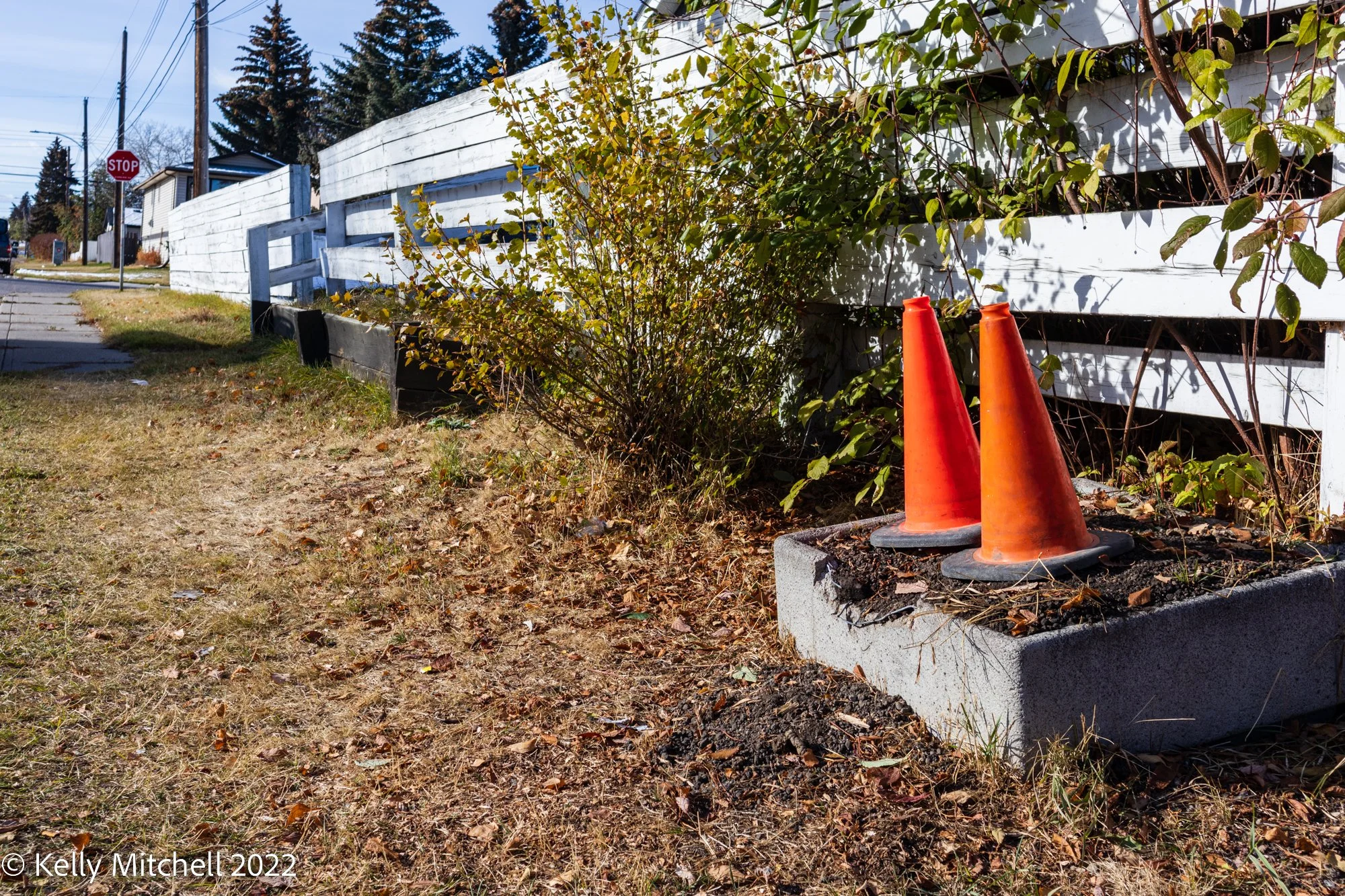 20221026-_MG_1351.jpg