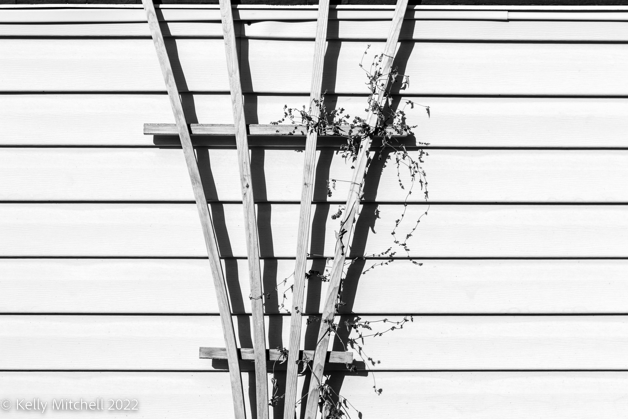 20221026-_MG_1355.jpg