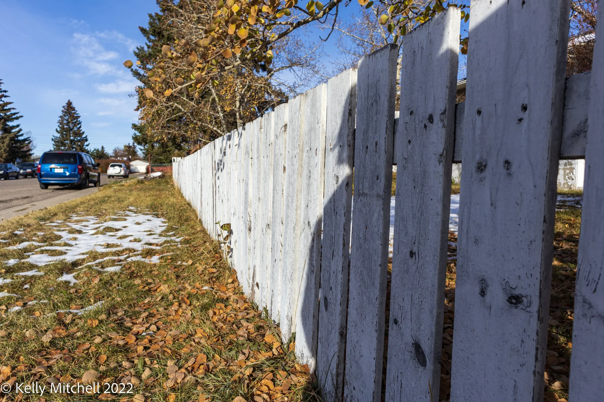20221026-_MG_1359.jpg