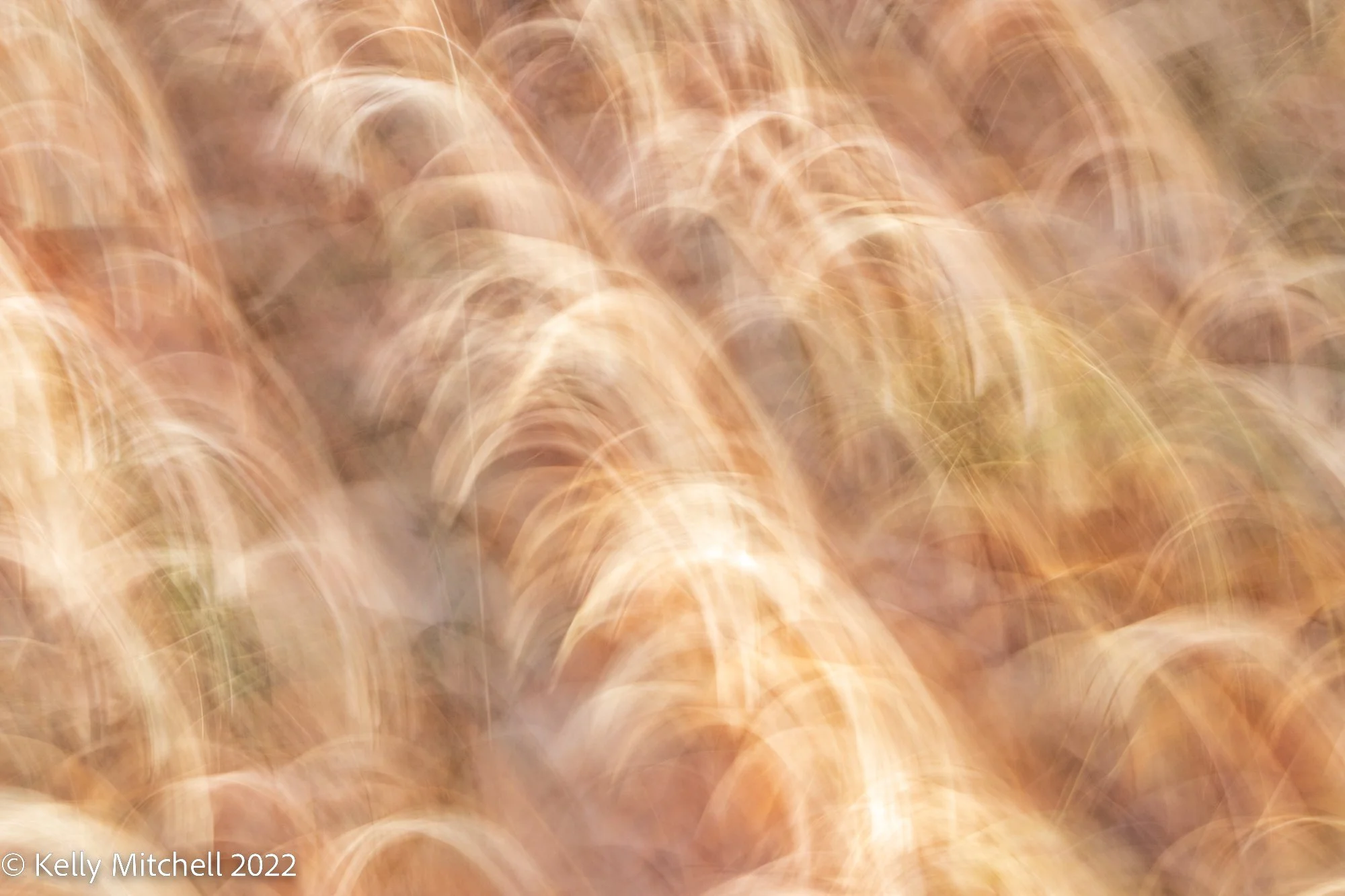 ICM - Falling Leaves