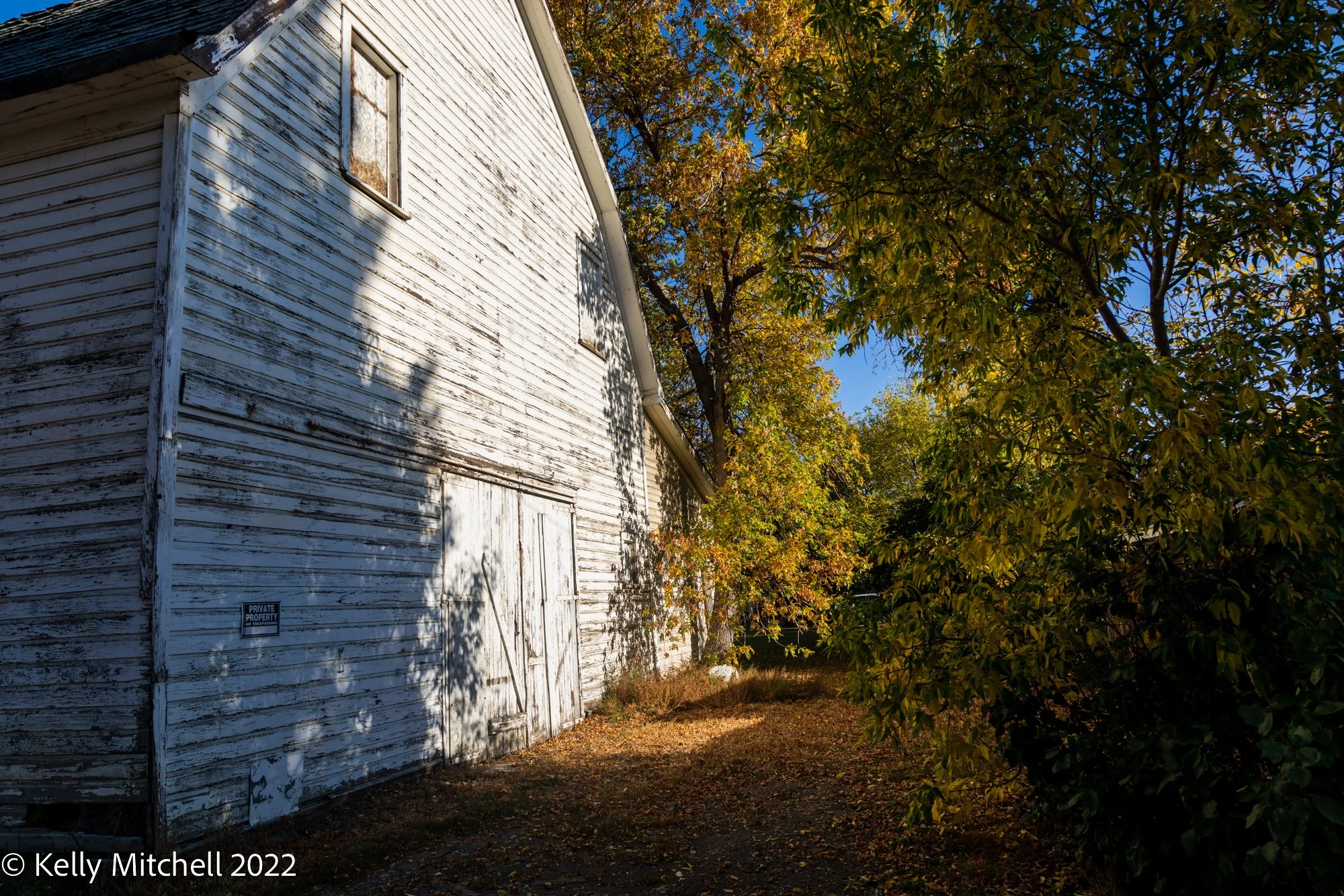 Stewart’s Livery Barn