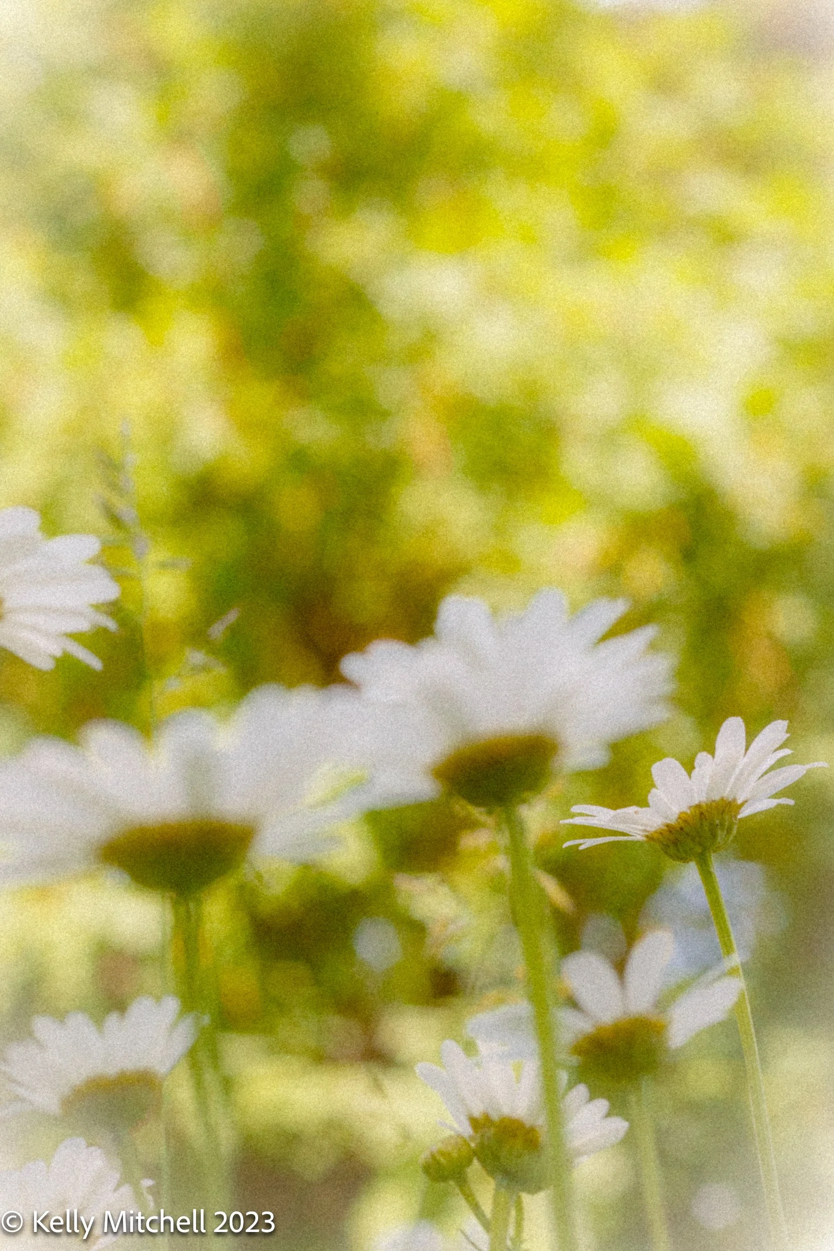 20230623-_DM22413.jpg
