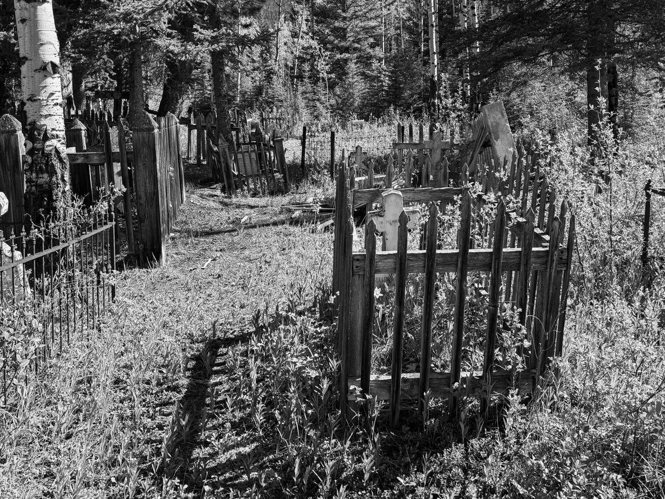 May - Old Cemetery at Canmore AB
