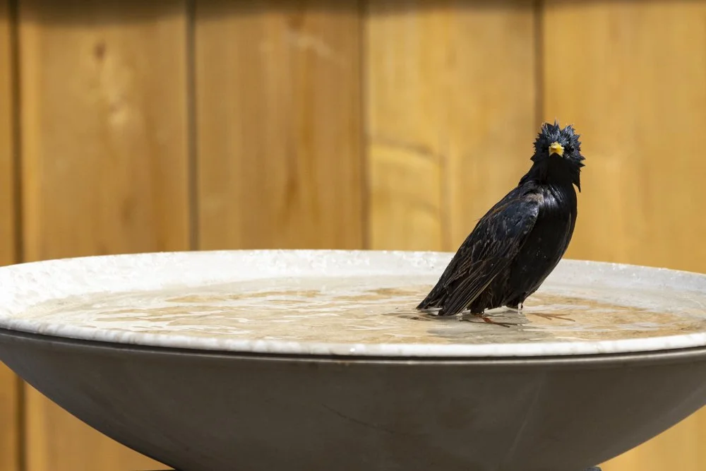 Bath Time!!!