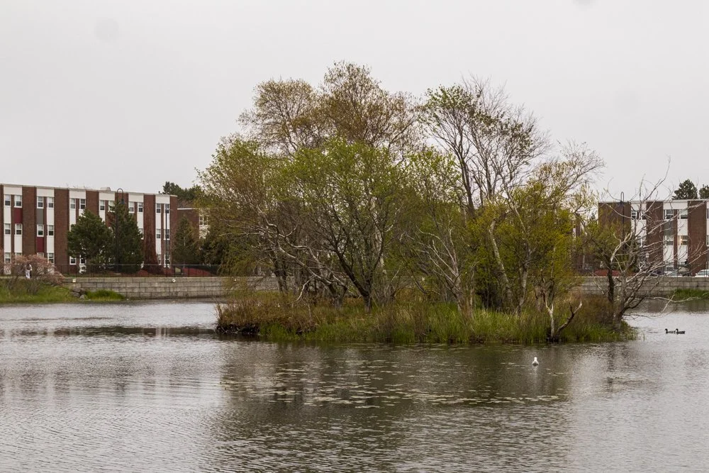 Memorial Campus