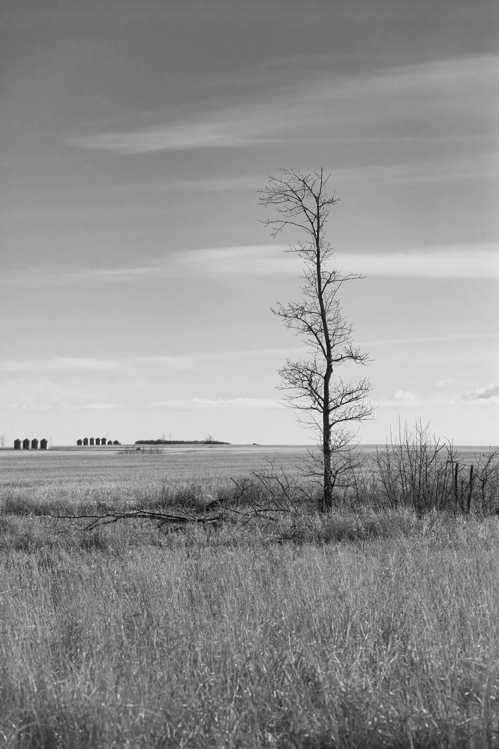 Life’s Activities - Black &amp; White