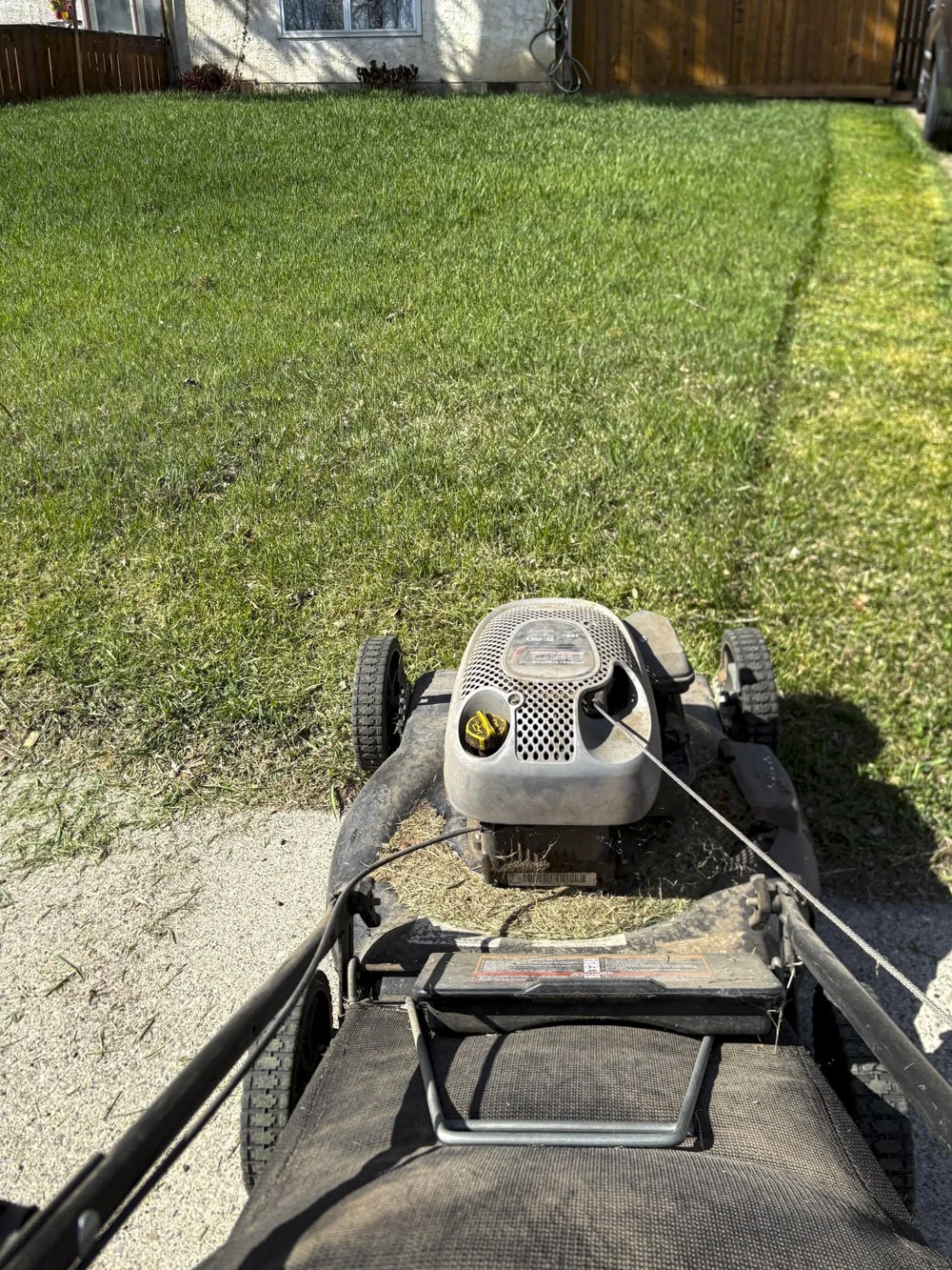 May 4th - First Cut of the Year