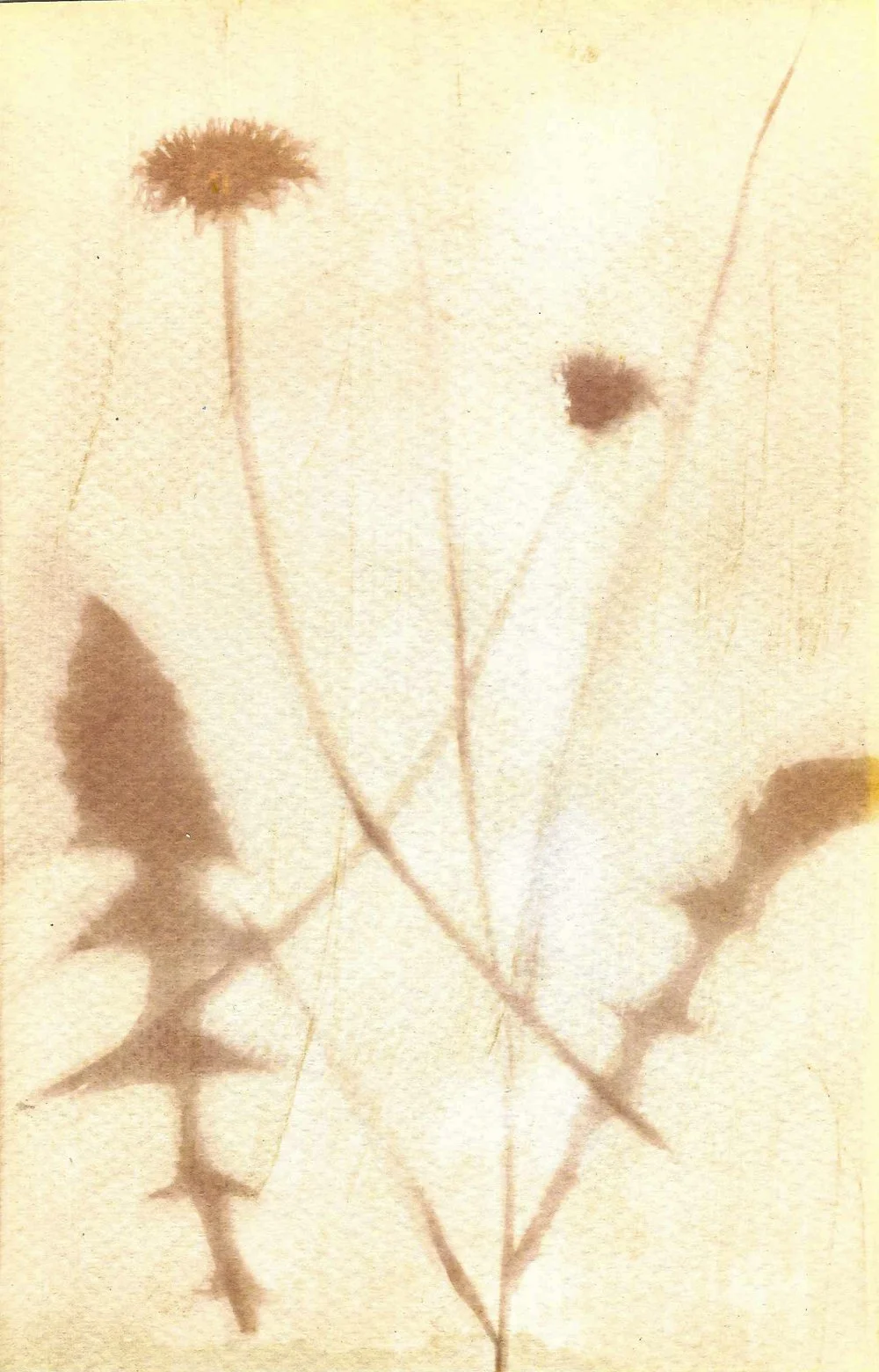 Random Acts of Art