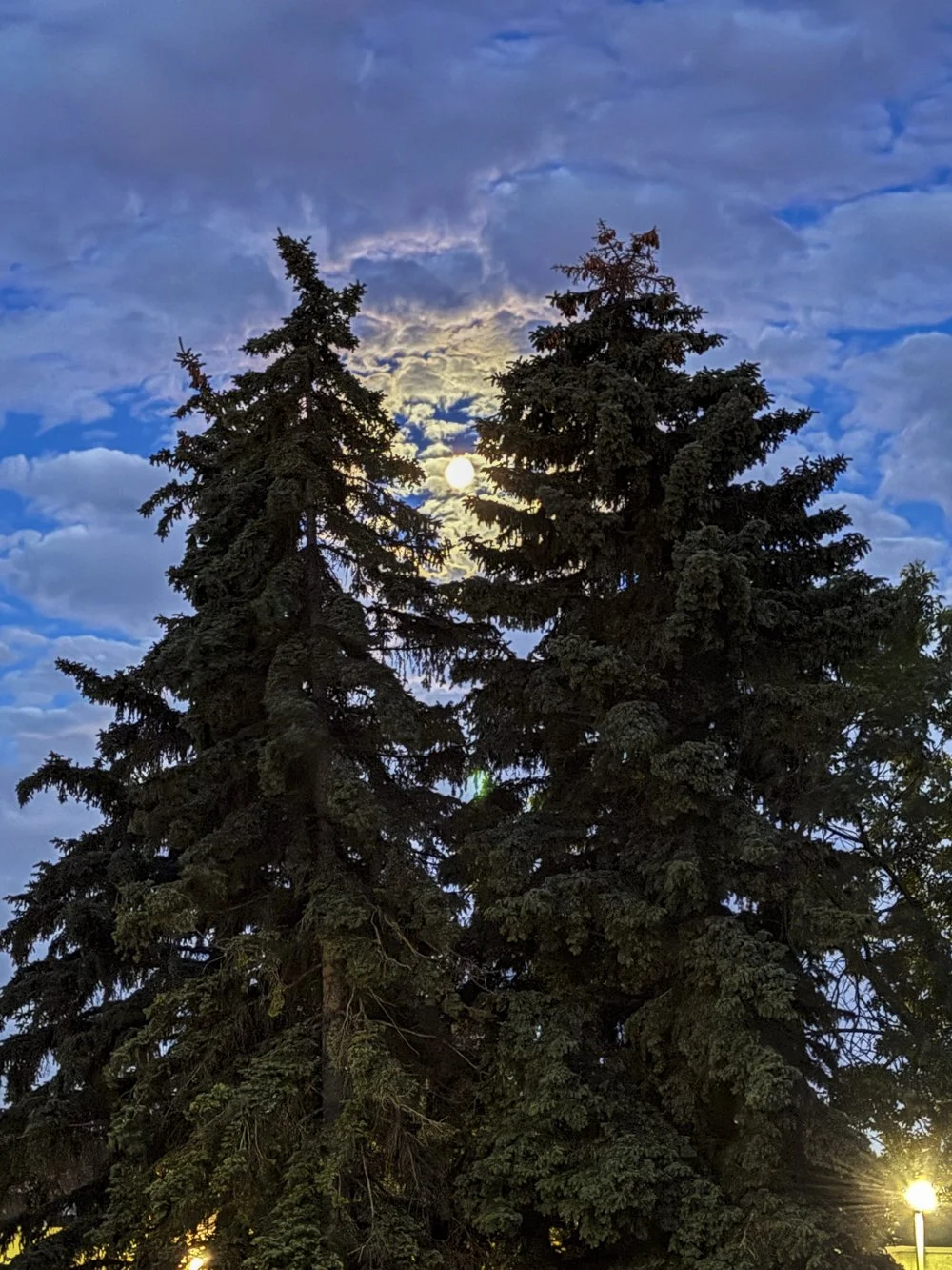 July 2 - Early Morning Moon