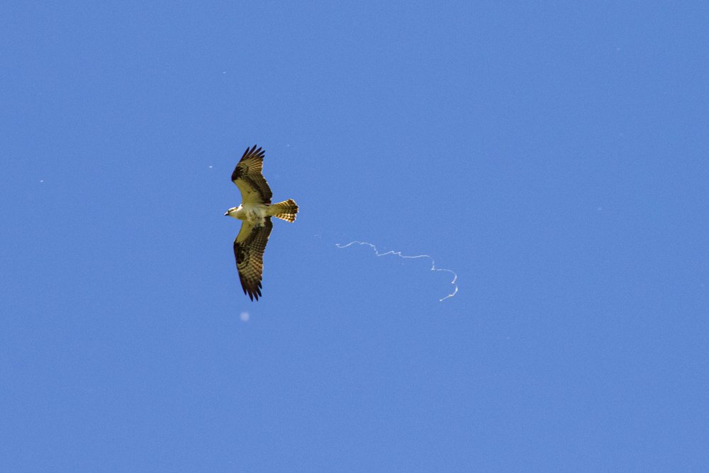 Look Out Below!!!