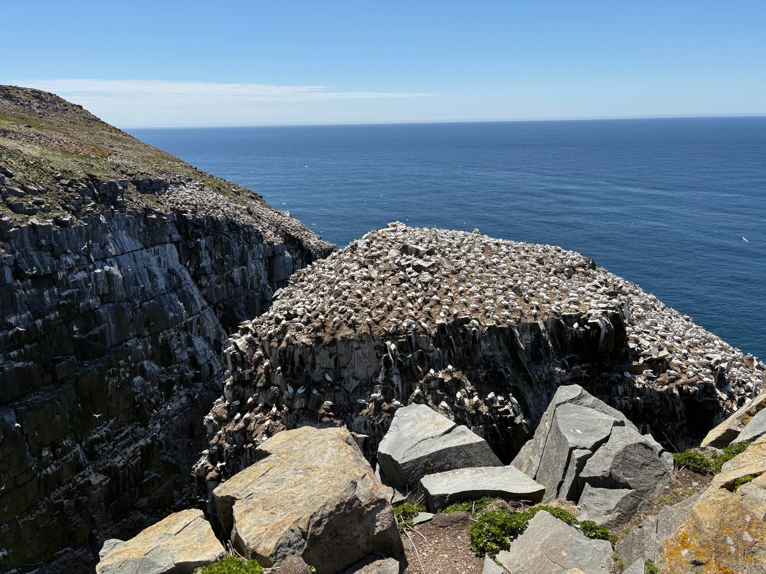 June 10 - Cape St. Mary’s -
The sun was shining, no fog in sight. -
We were lucky!! -
The walk along the cliffs, safely marked, had a fantastic view, you could seeing almost forever. -
Watch your step, it is rocky. -
Bird Rock was an amazing sight to