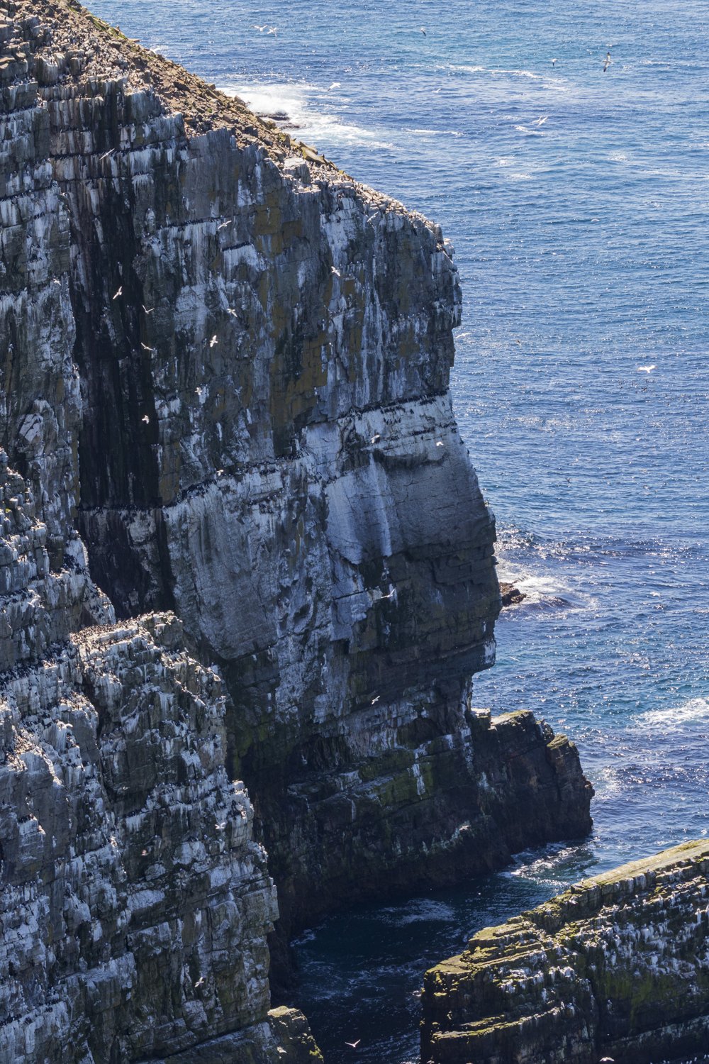 20260610-_DM23495.jpg