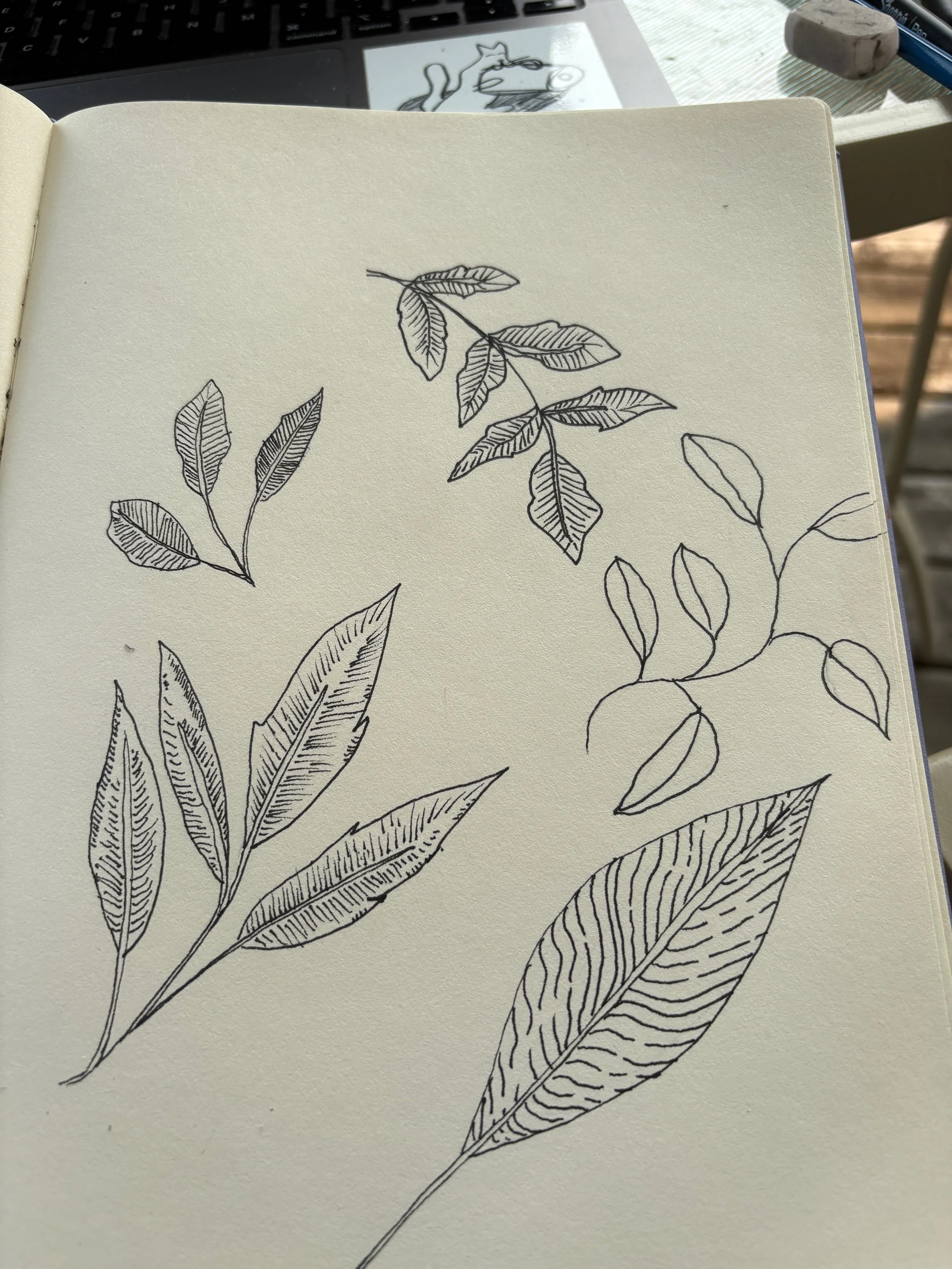 Drawing Leaves