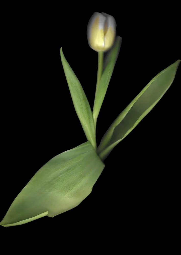 20260326-Scan 4-flowers-Edit.jpg