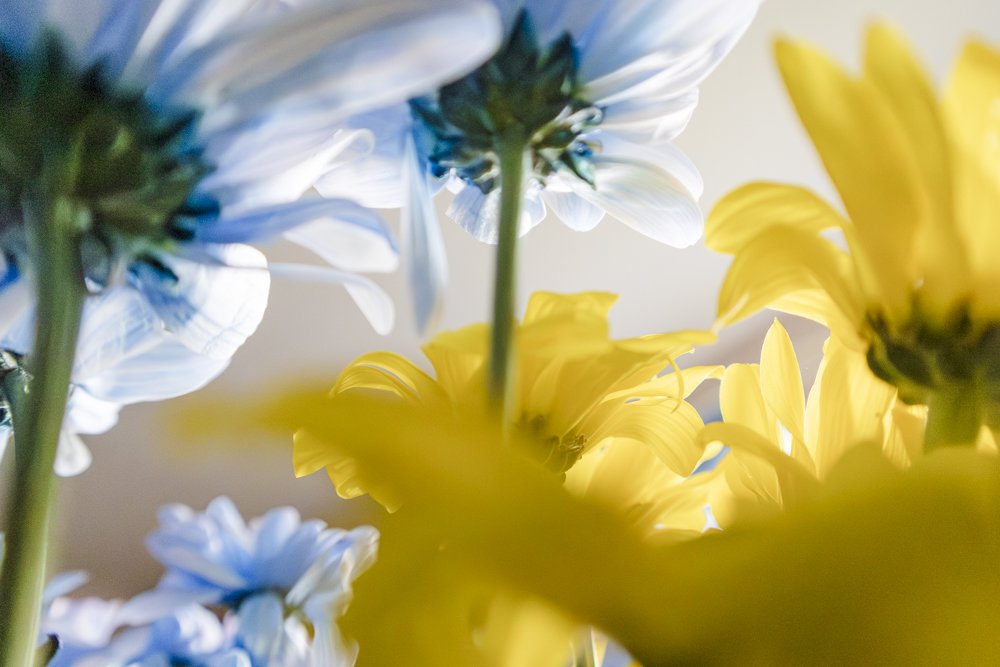 Learning, Trying &amp; Creating