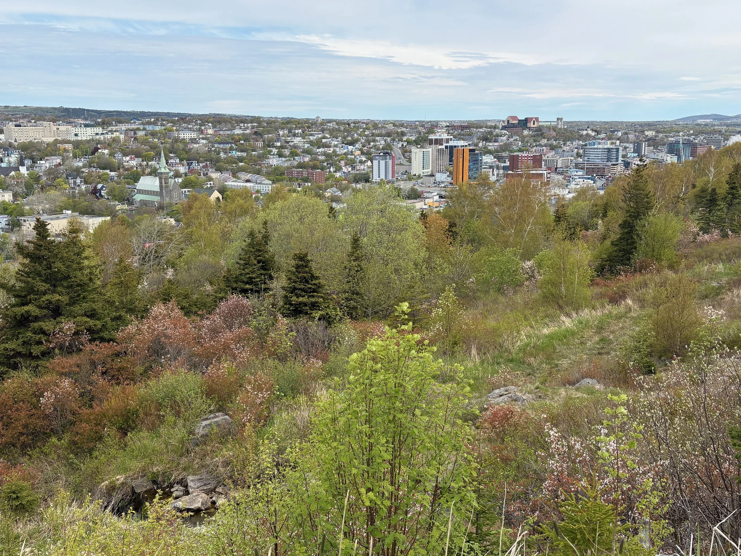 June 11 - Shea Heights -
Beautiful views of Downtown St. John’s 
On a quick tour of the city. -
I can imagine this view all in autumn colours
It would be breathtaking.
