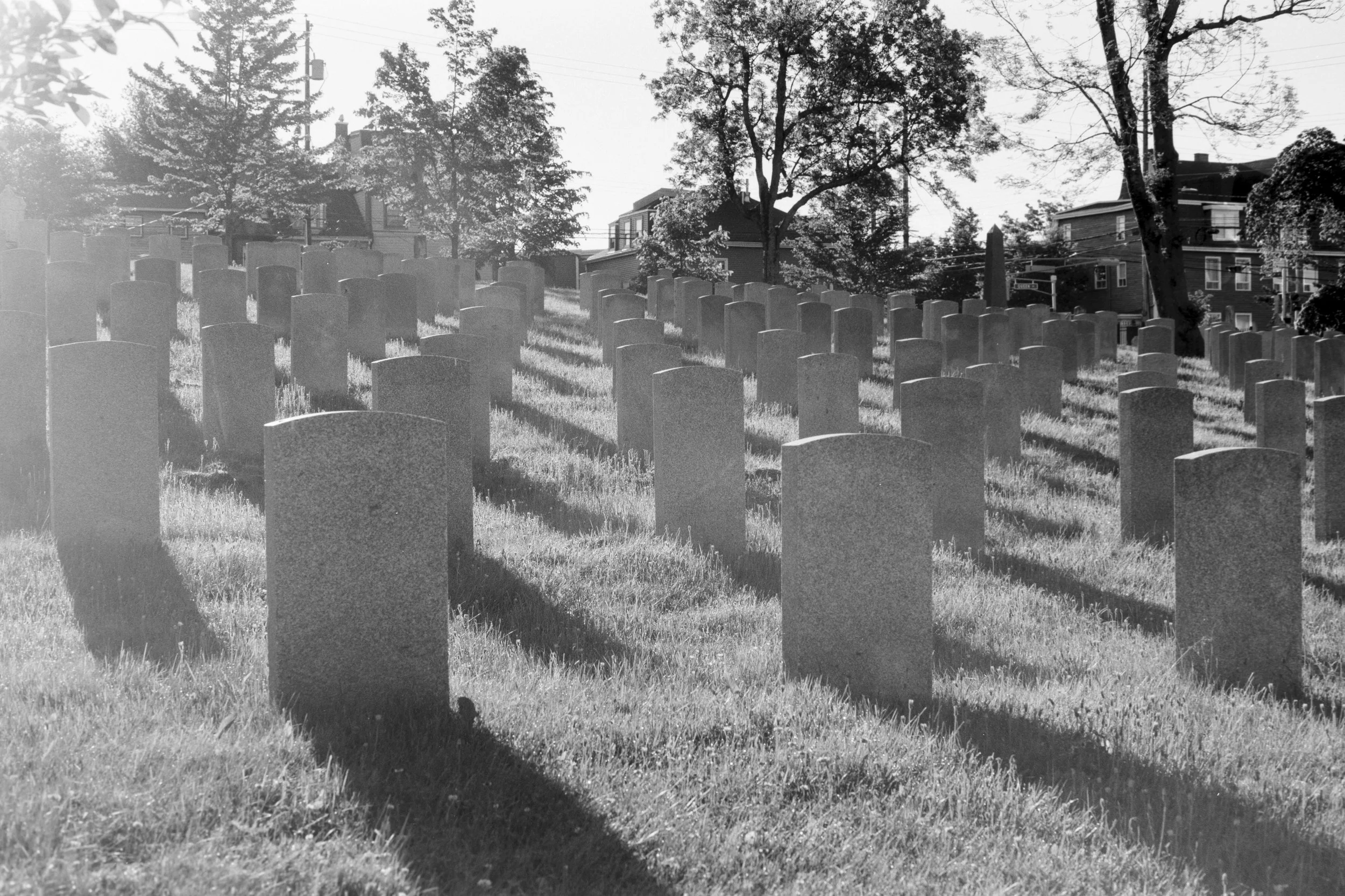 Lines and Shadows standing Silent