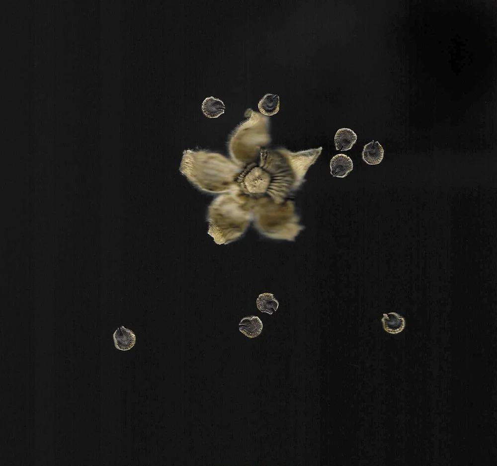 20260415-Scan 14.jpg