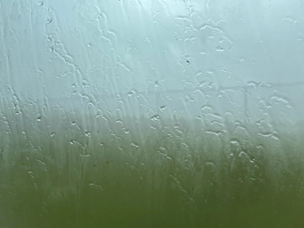 June 1 -
Rain -
the windows blur -
the rain falls - 
its cold and wet -
its duck weather -
the wind blows -
the tree sway to and fro - 
its time to snuggle in with a good book and something hot -
i love rainy days