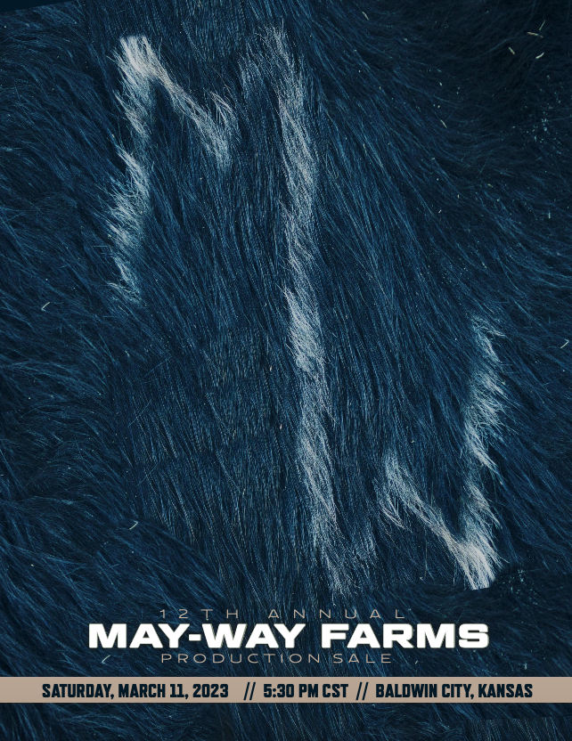 Screen Shot 2023-06-08 at 9.54.28 PM.png