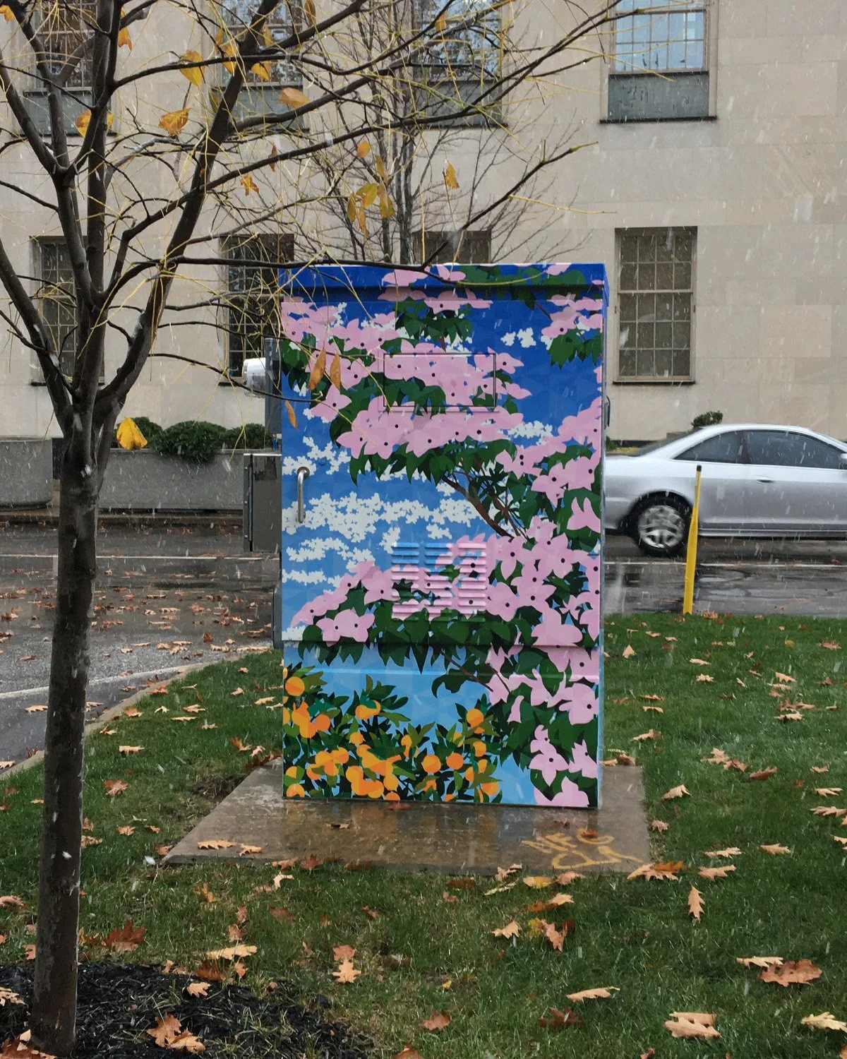 utility-box-photos_04.jpg