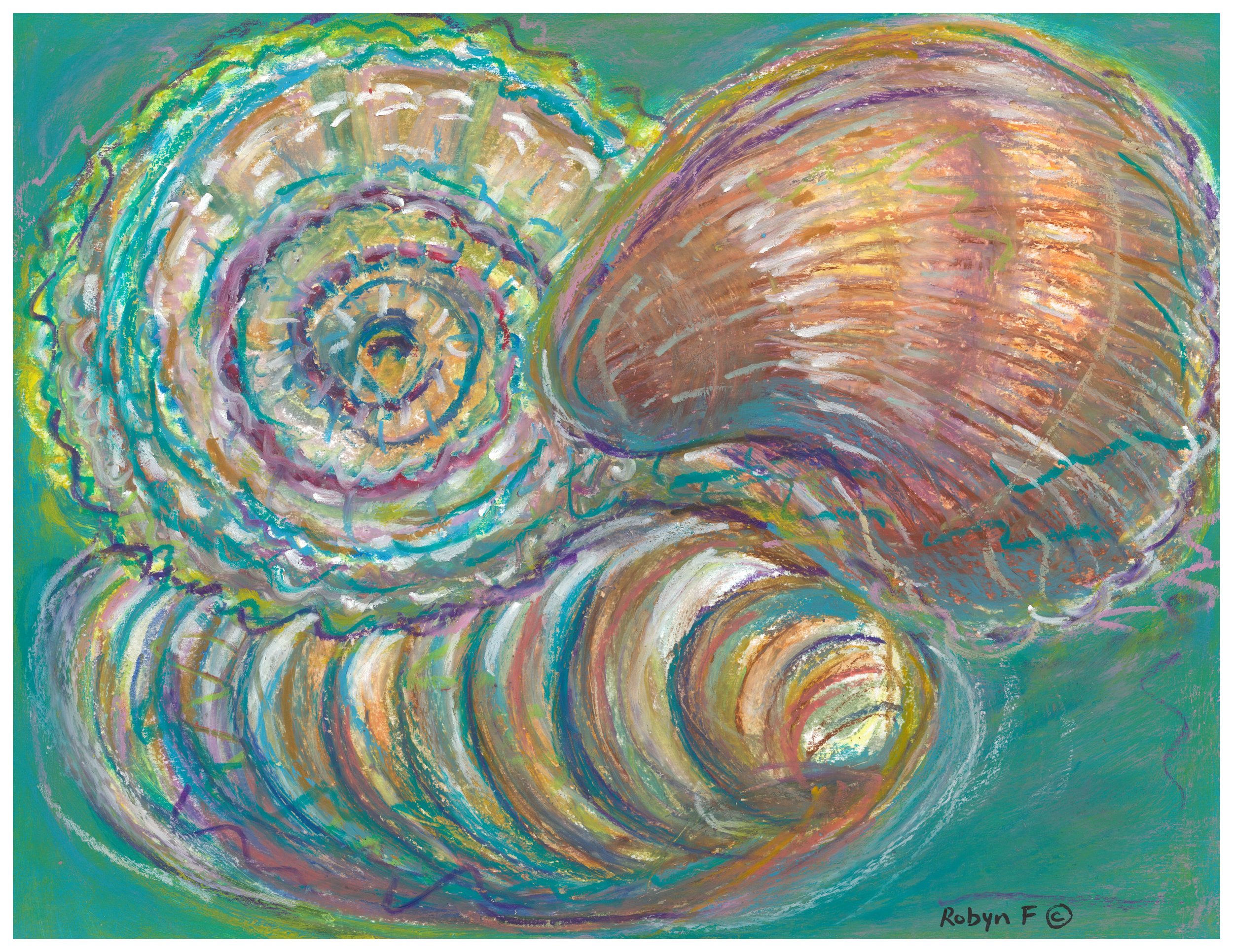 Shell Collecting.jpg